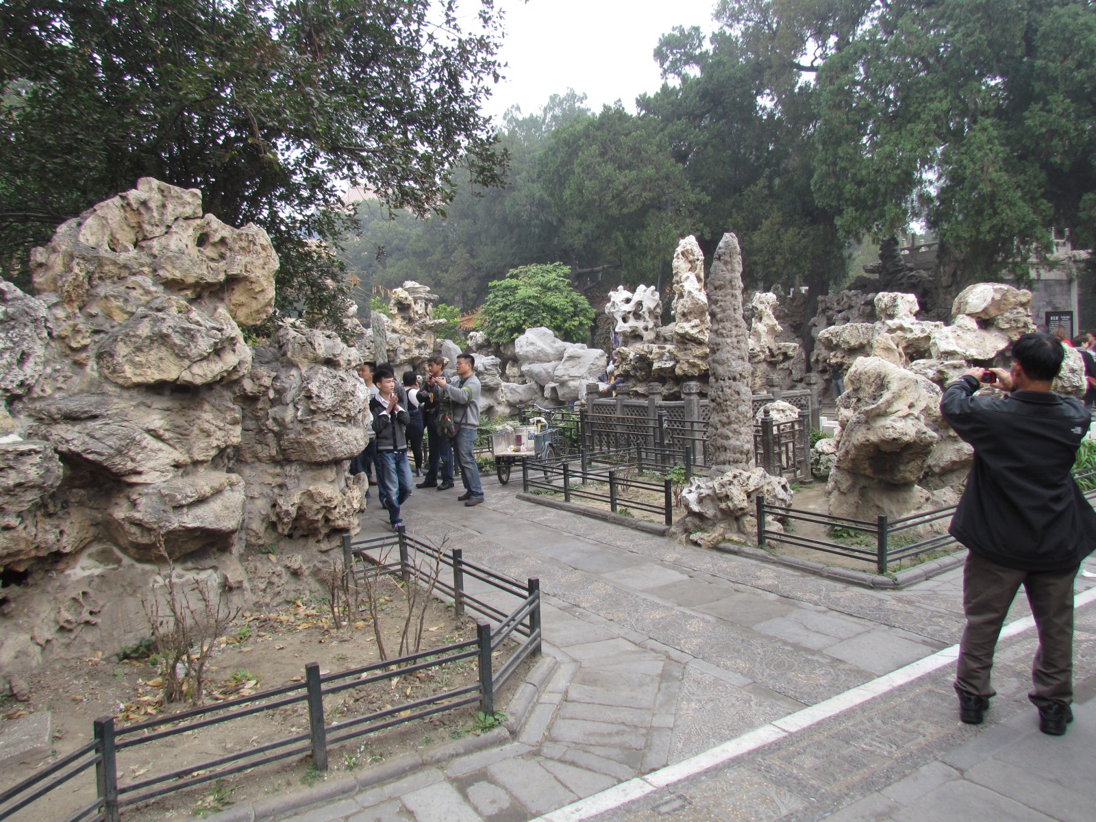 Beijing - Forbidden City - Imperial garden
