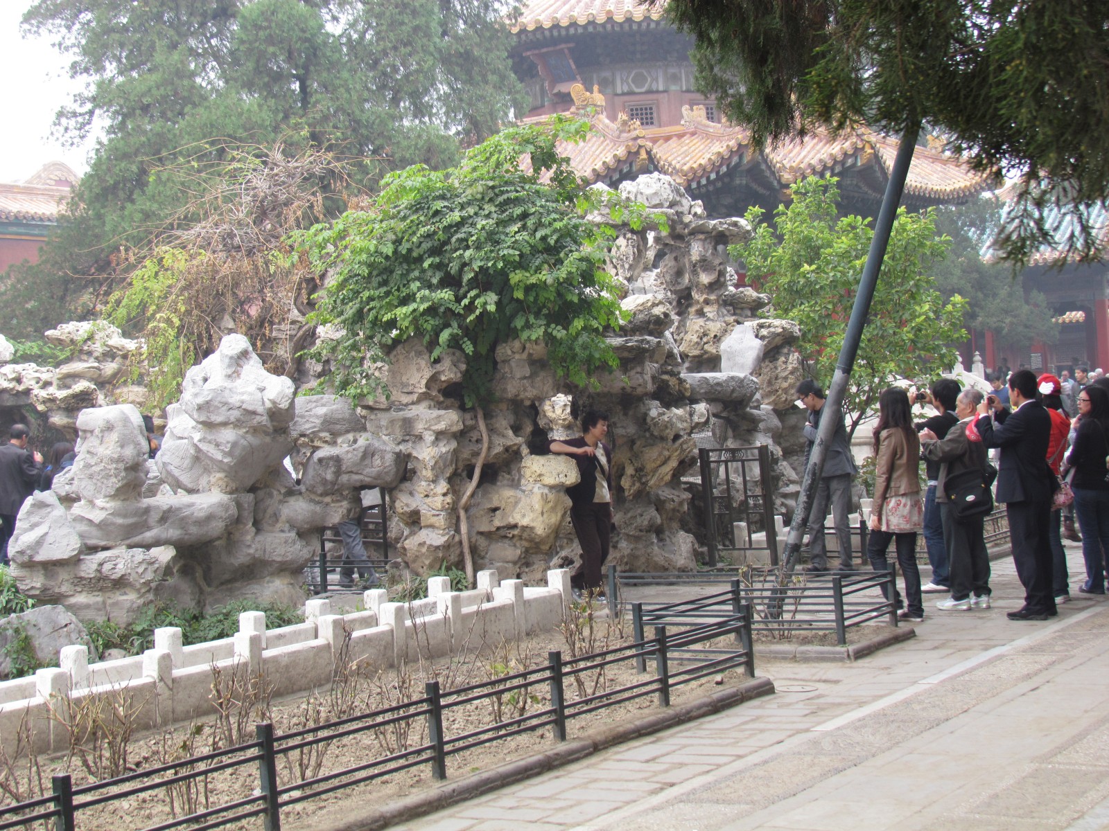 Beijing - Forbidden City - Imperial garden