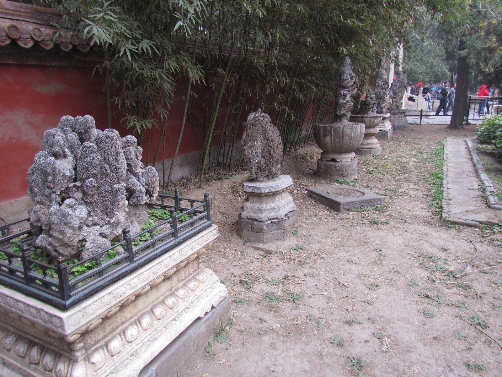 Beijing - Forbidden City - Imperial garden