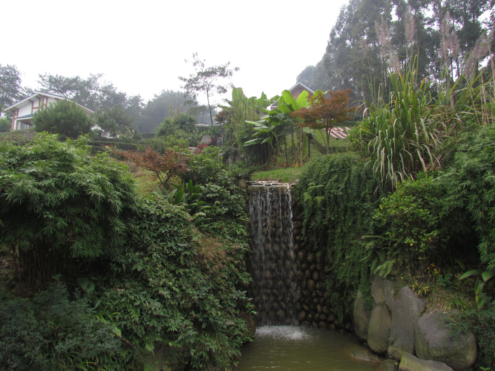 Songmingshanzhuang Tea Village