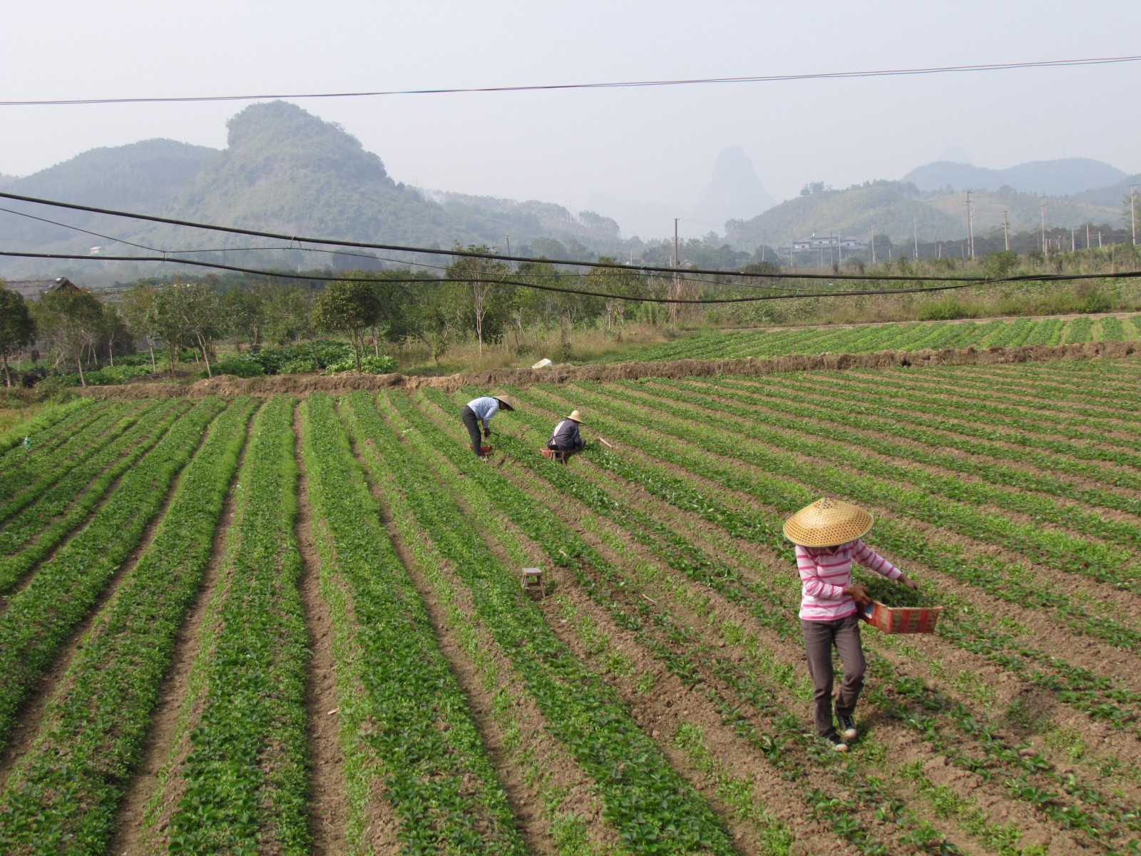 Near Yangshuo - Farmers