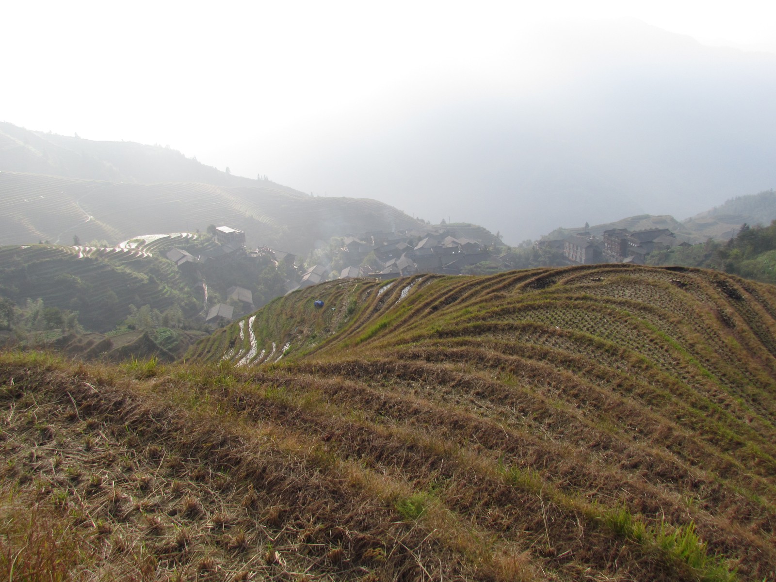 Longsheng - Longji rice terraces