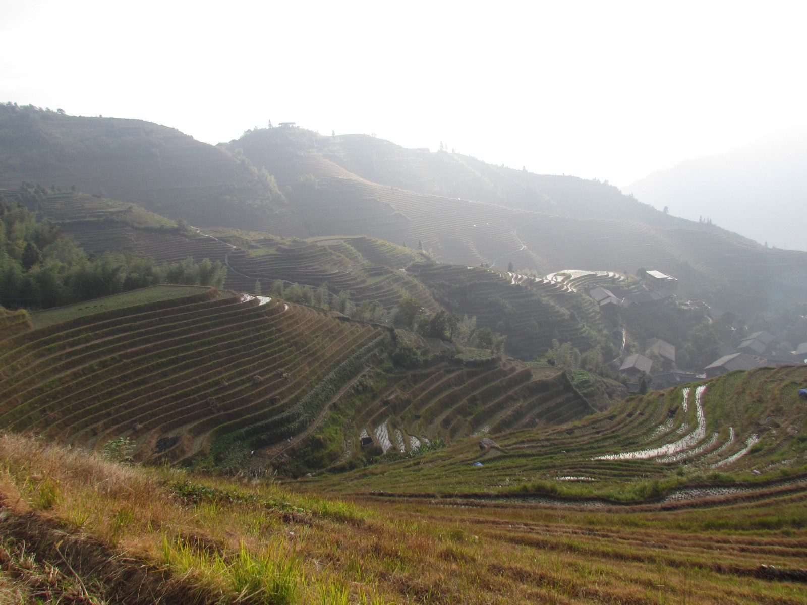 Longsheng - Longji rice terraces