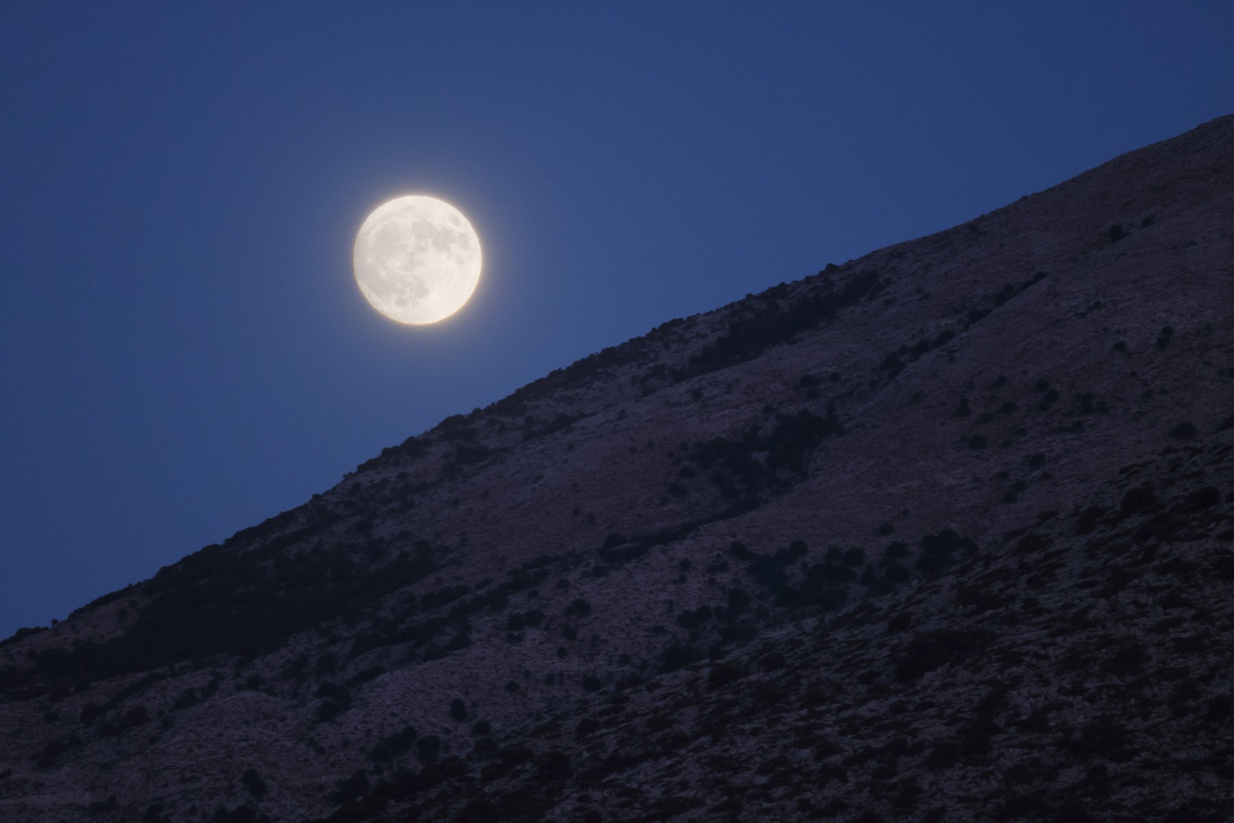 Malia - Moon rising