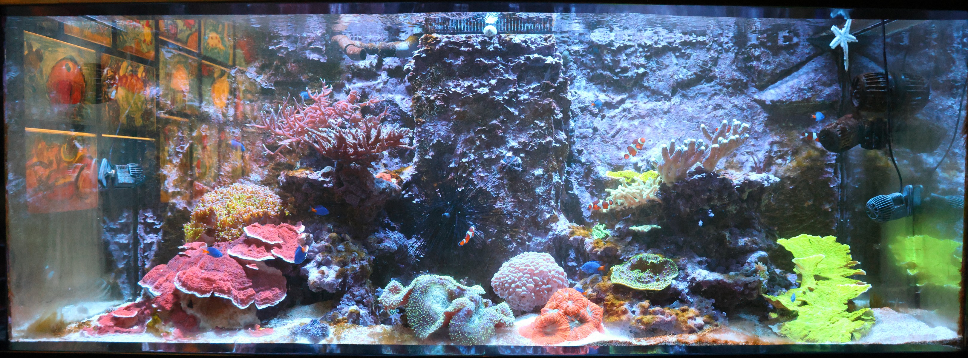 Cretaquarium