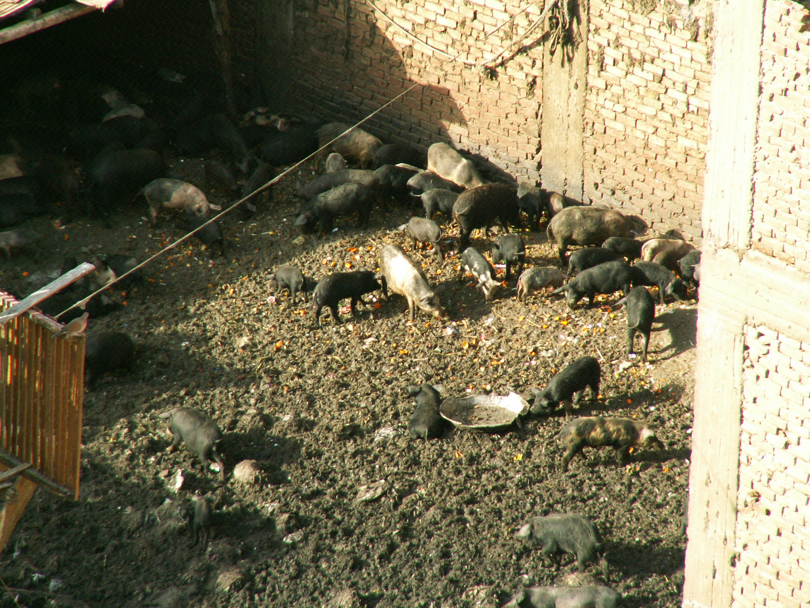 Cairo - Garbage city as seen from Coptic district