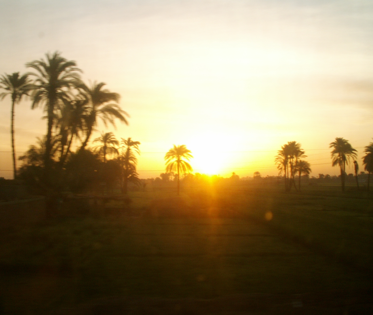 Sunrise from the train between Cairo and Aswan