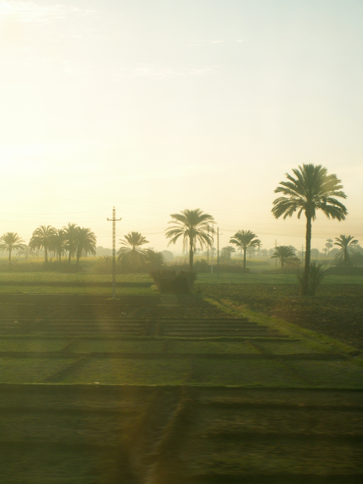 From the train between Cairo and Aswan