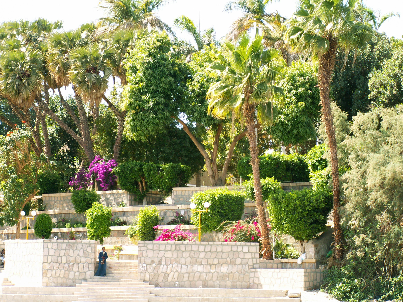 Aswan - Kitchener's island - Botanic park