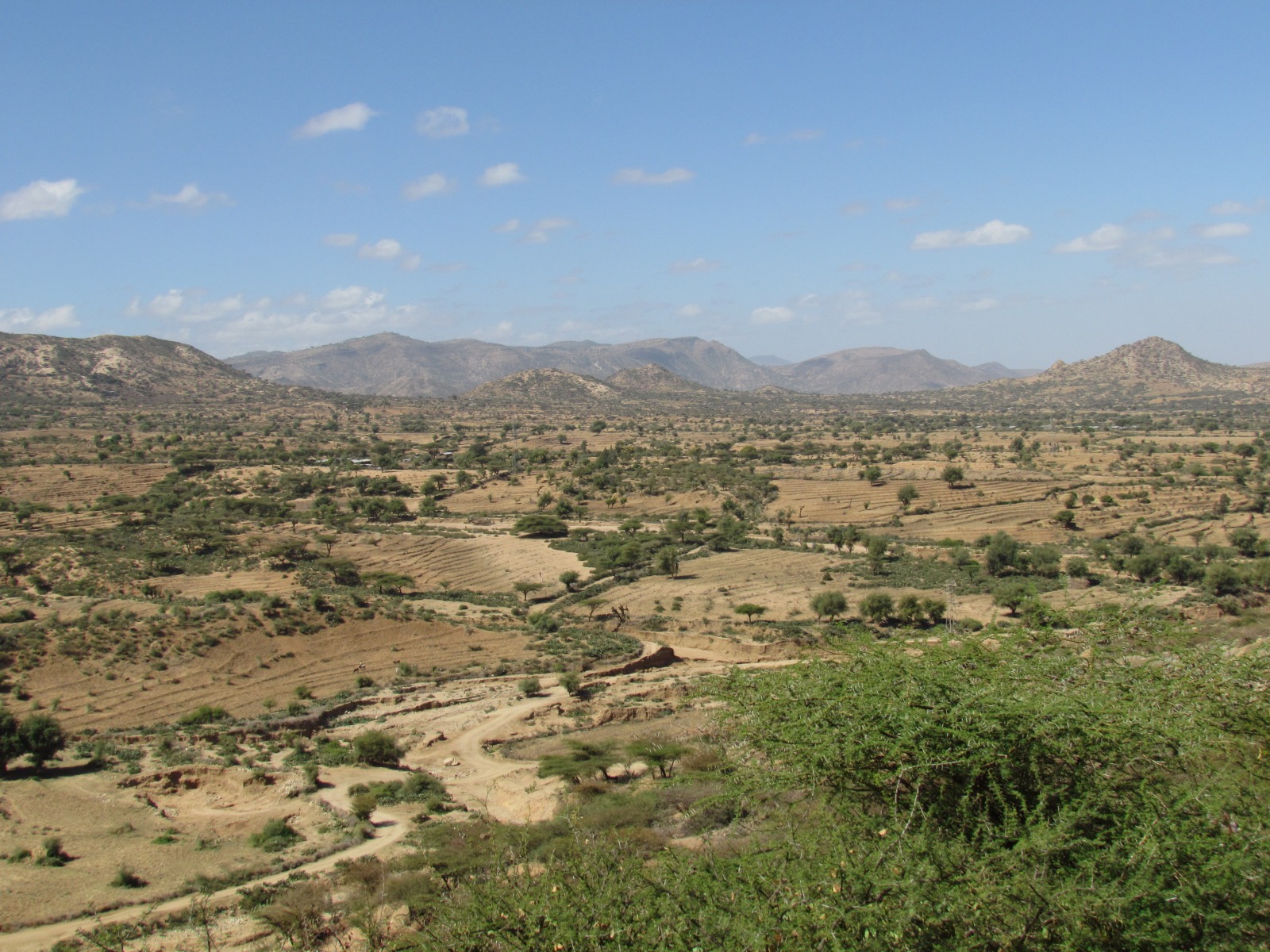 Near Dire Dawa
