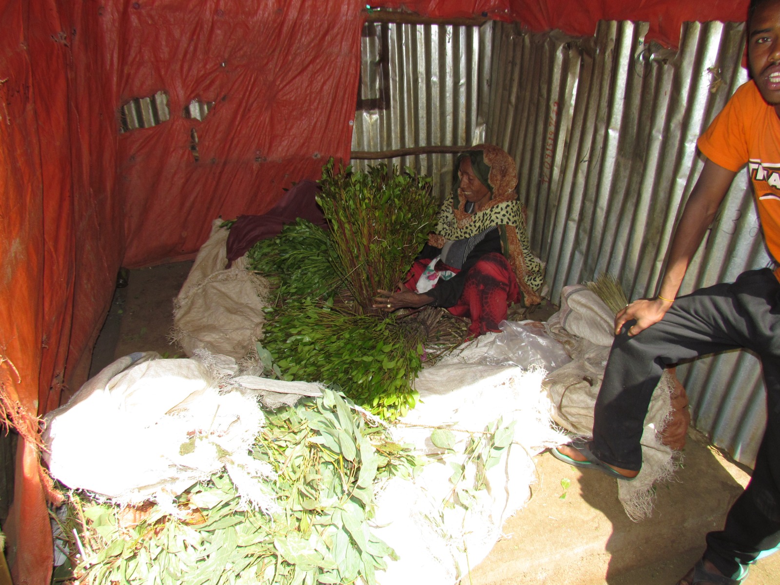 Didimtu - Khat market