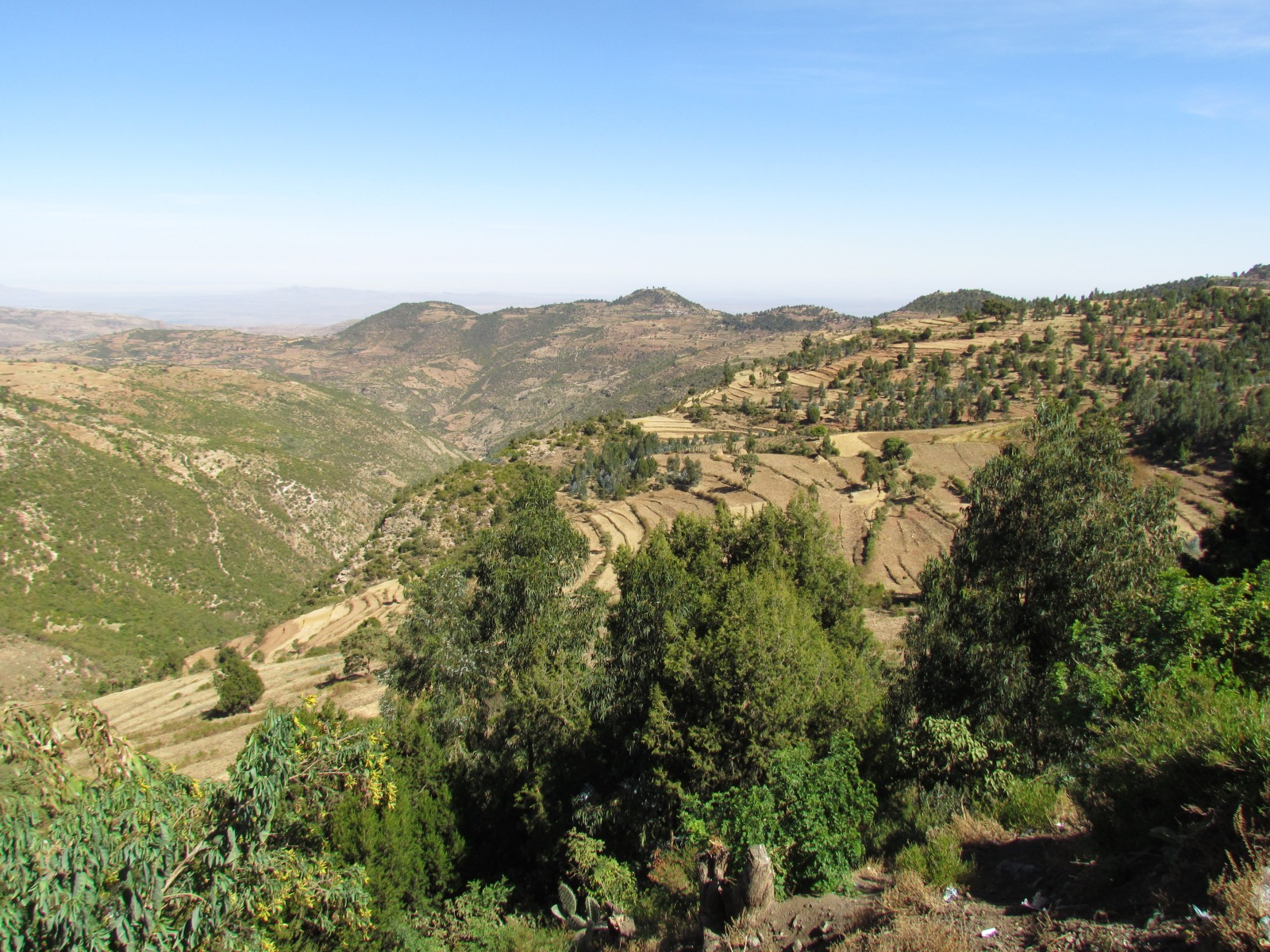 Near Harar