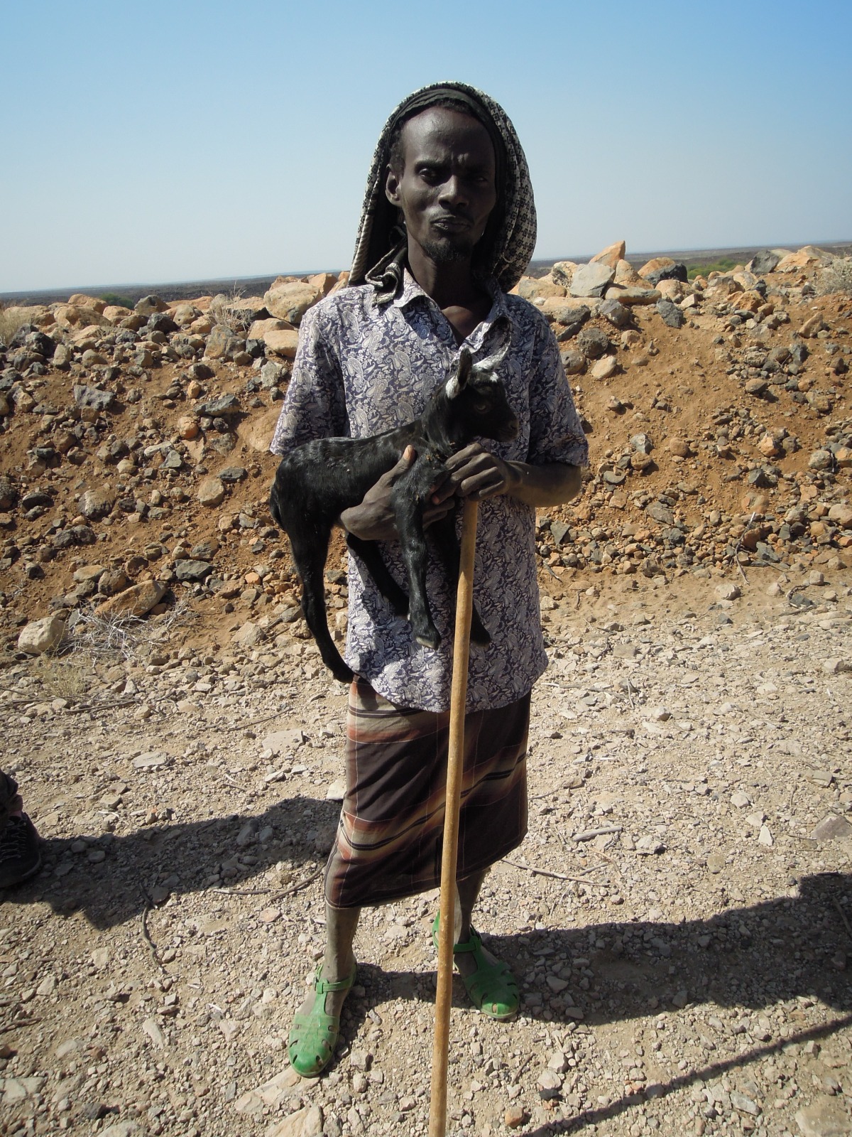 Danakil desert - Afar man with goat
