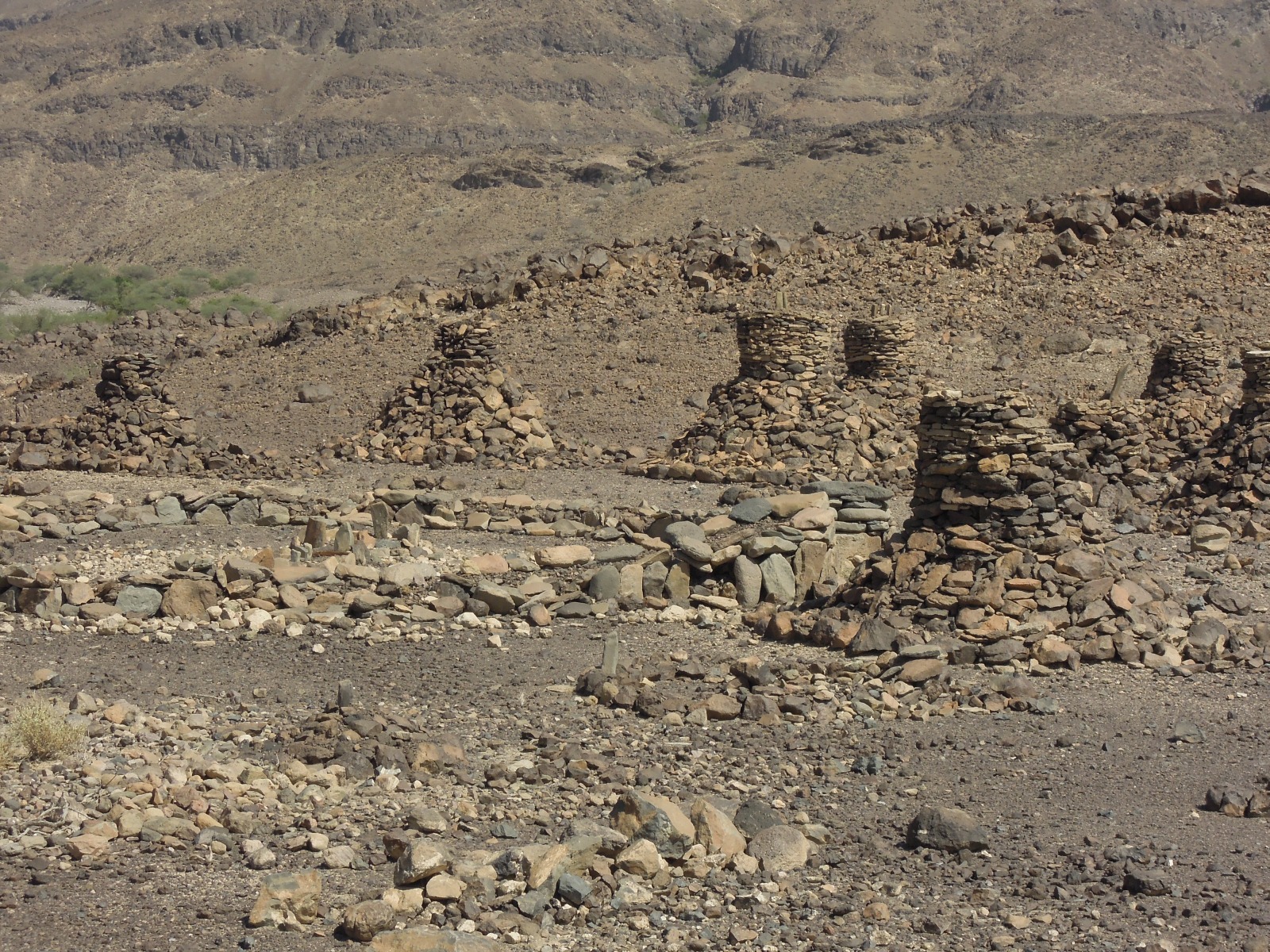 Danakil desert - Afar graveyard