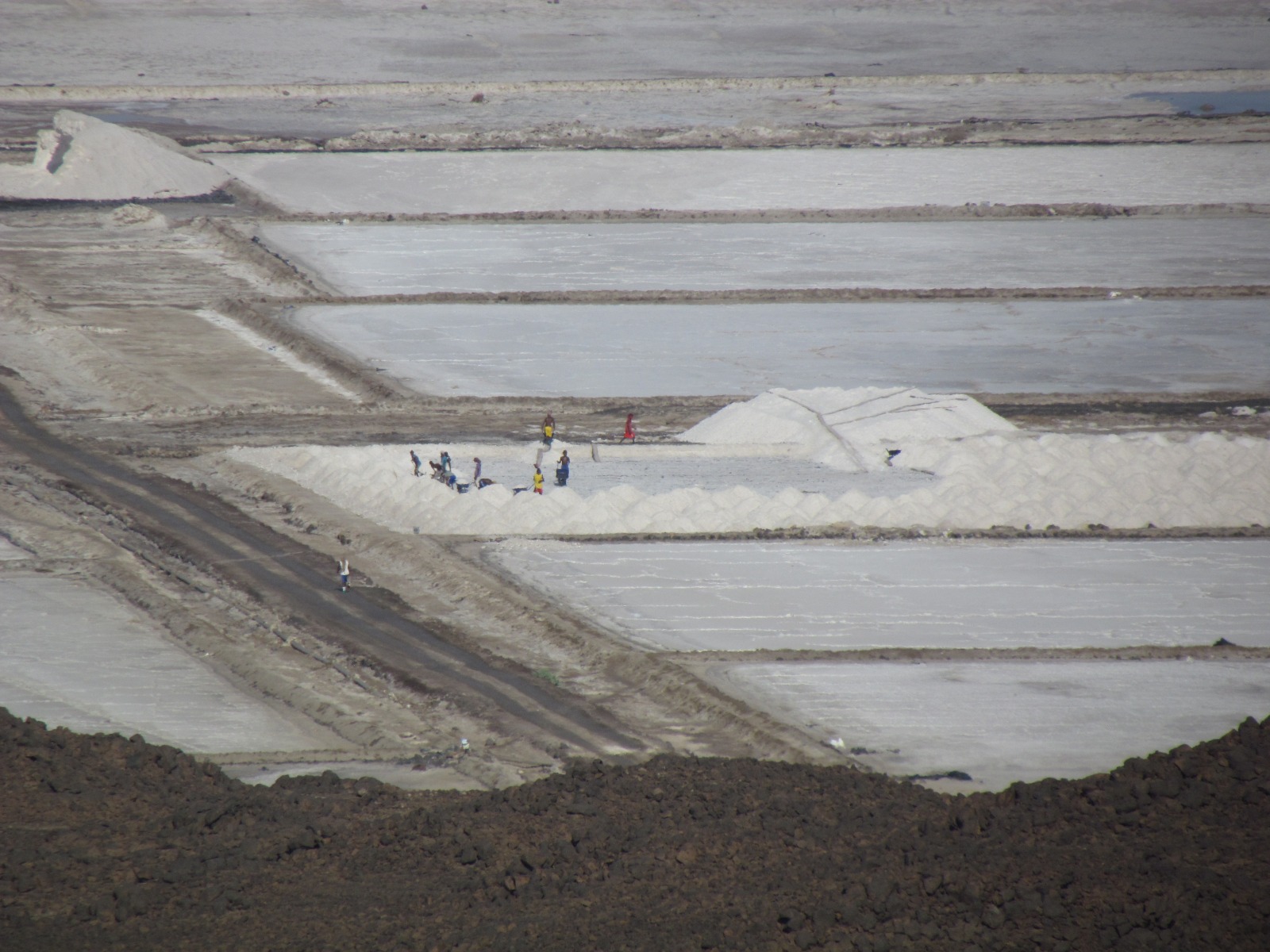 Afrera lake - Salt evaporation ponds