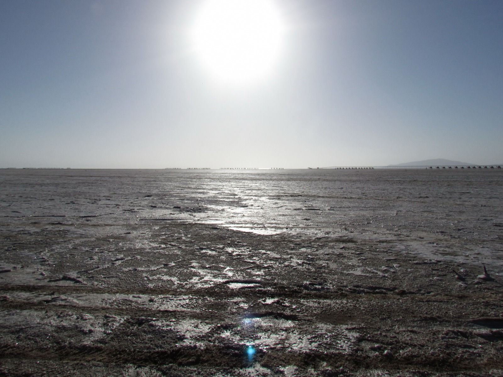 Danakil depression - Assale salt pans - Salt miner caravans