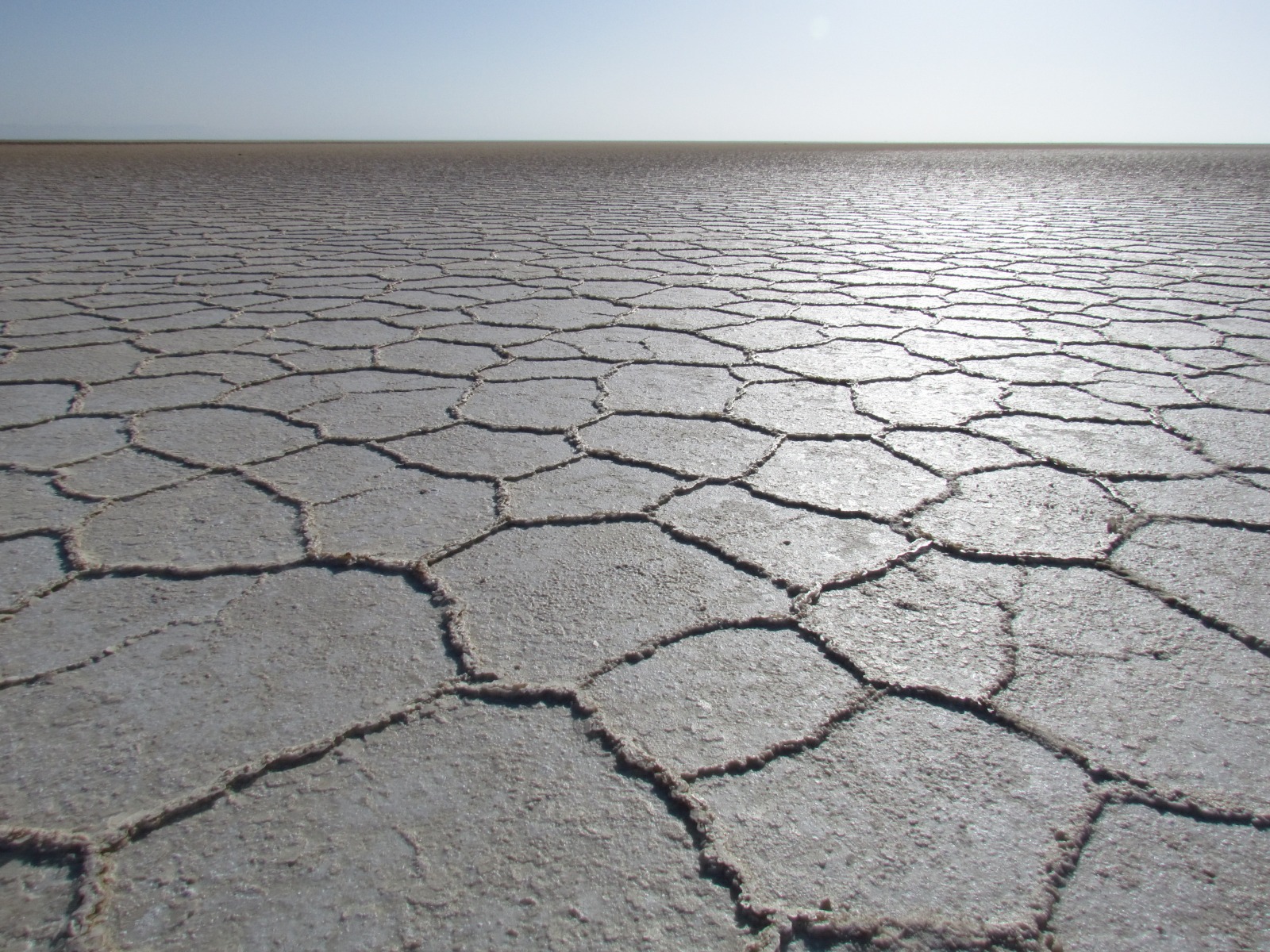 Danakil depression - Assale salt pans