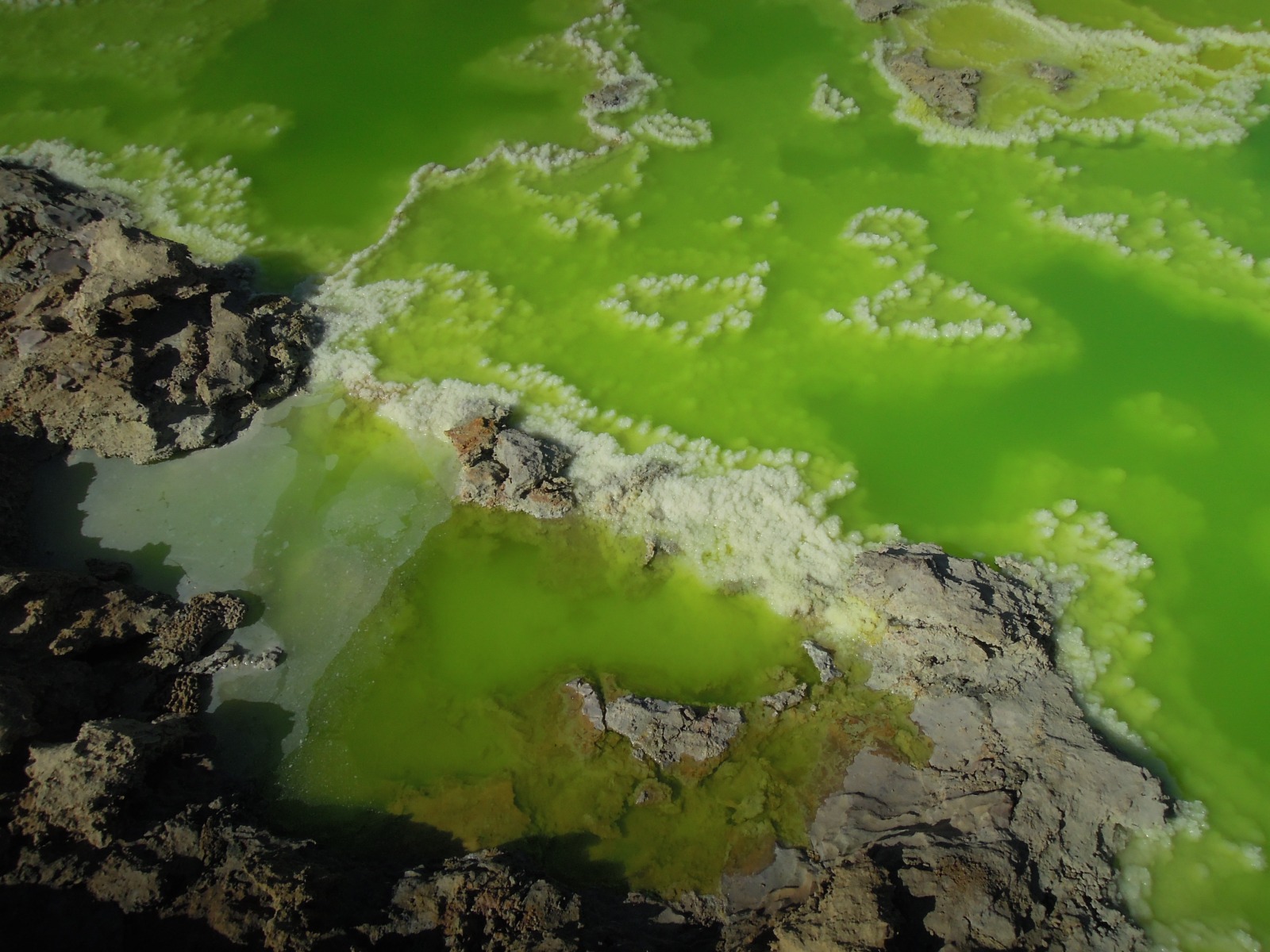 Danakil depression - Dallol