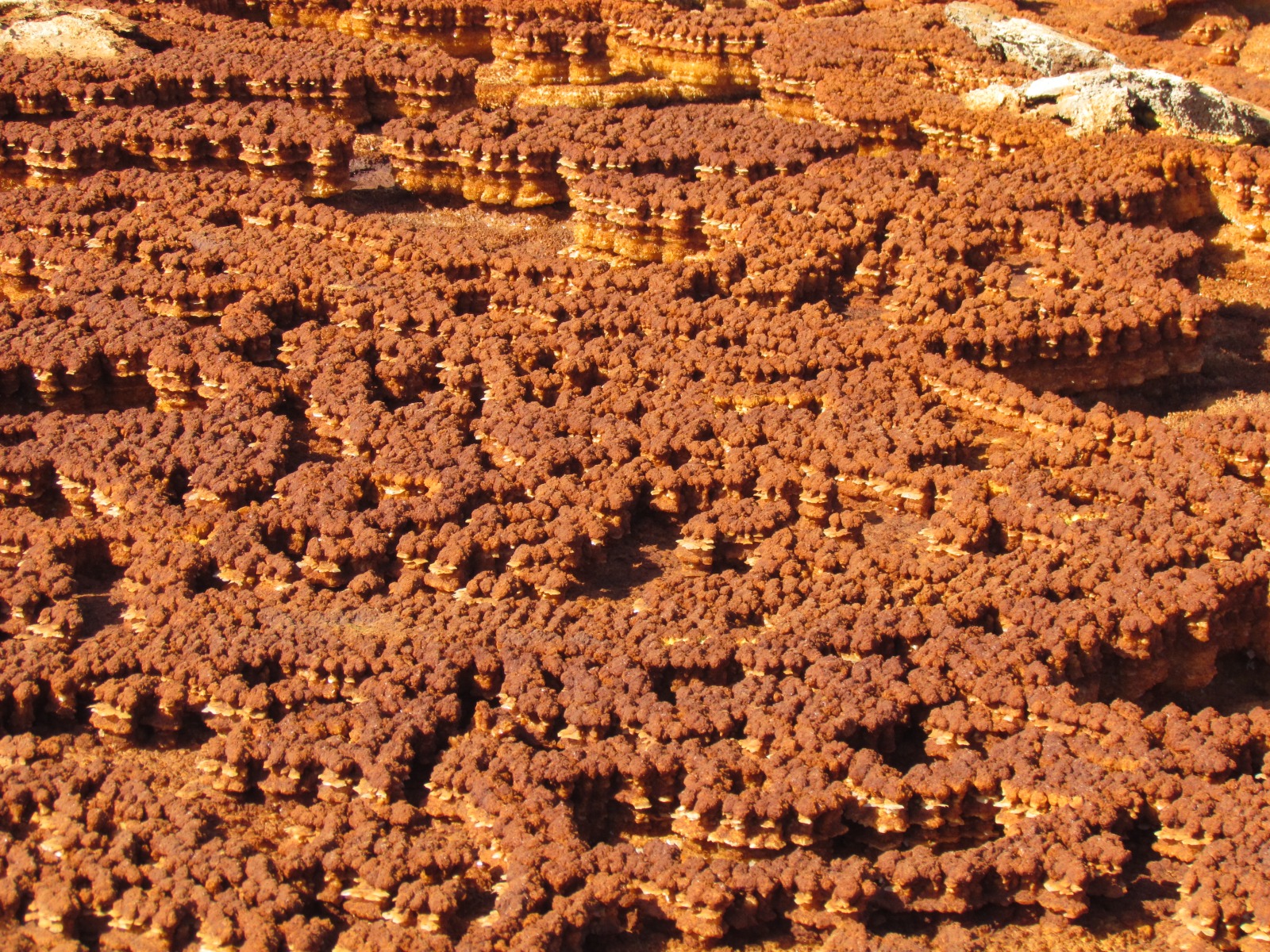 Danakil depression - Dallol