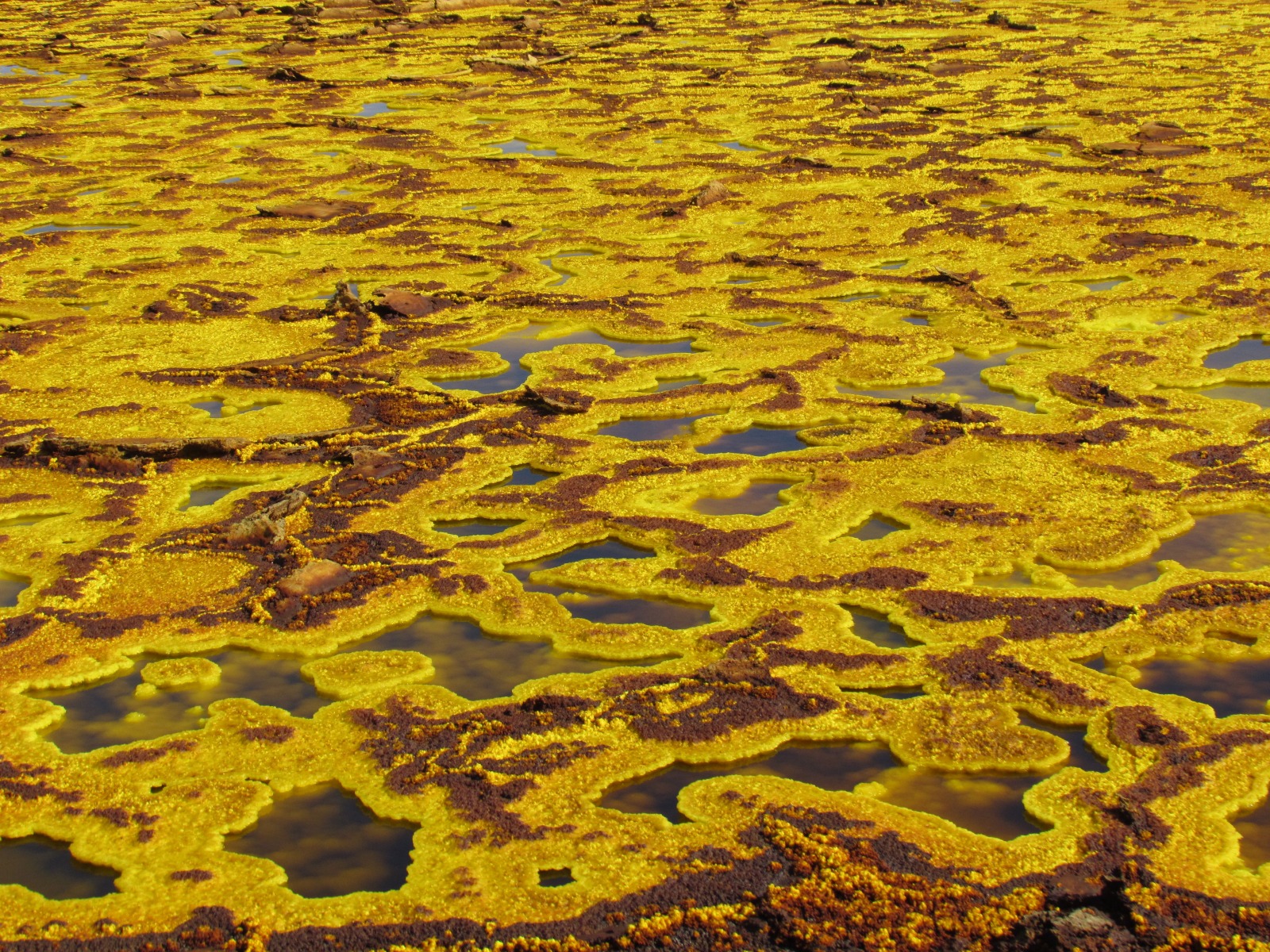 Danakil depression - Dallol