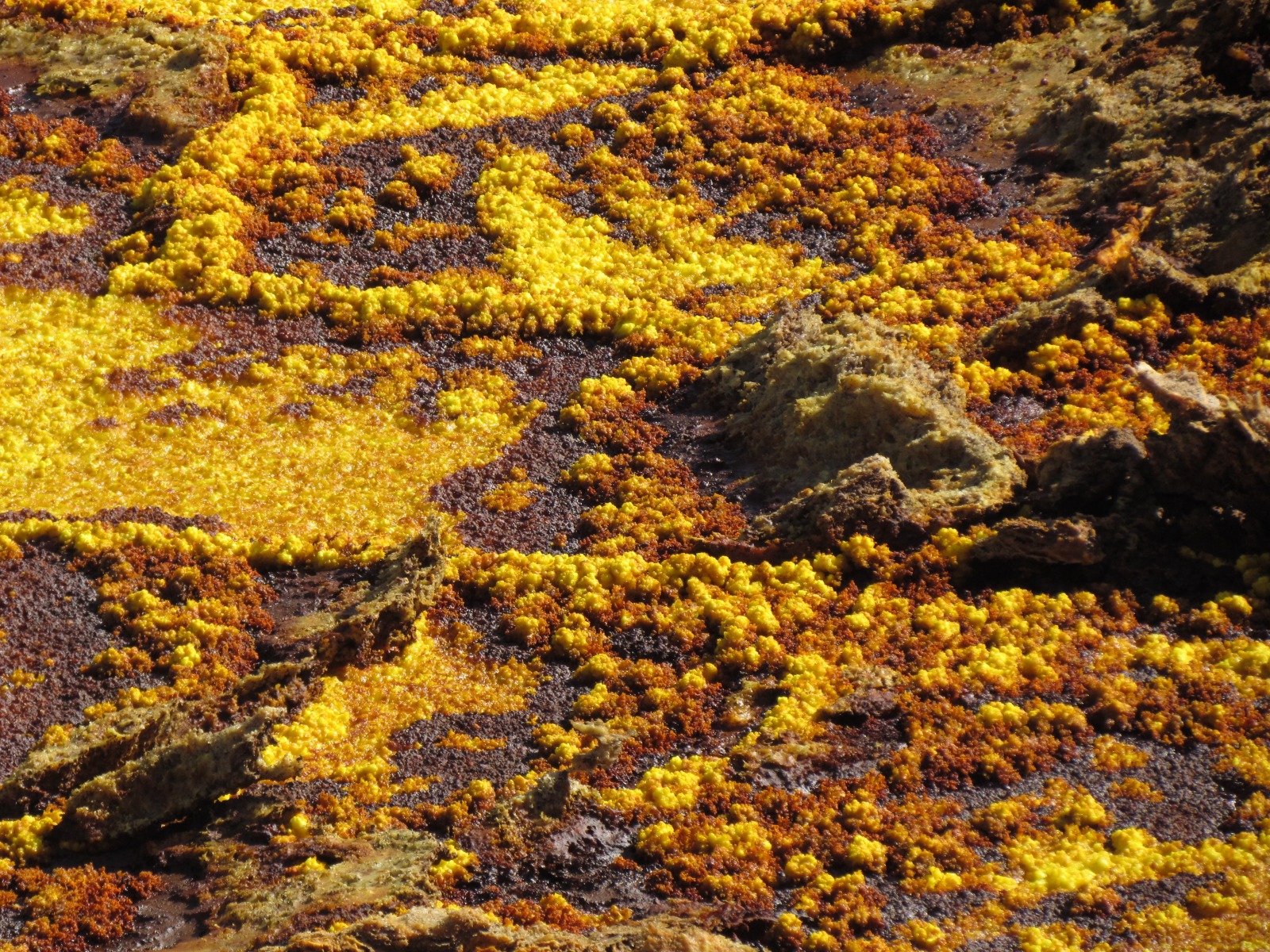 Danakil depression - Dallol