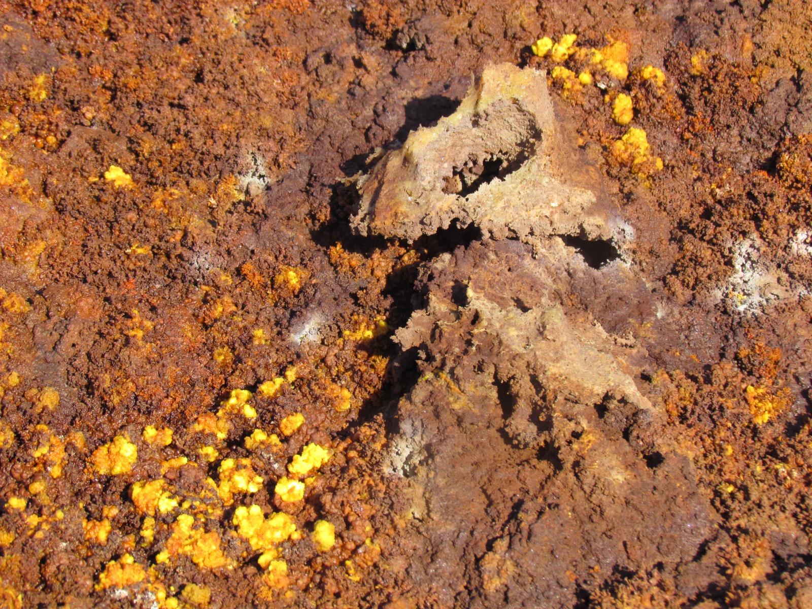 Danakil depression - Dallol