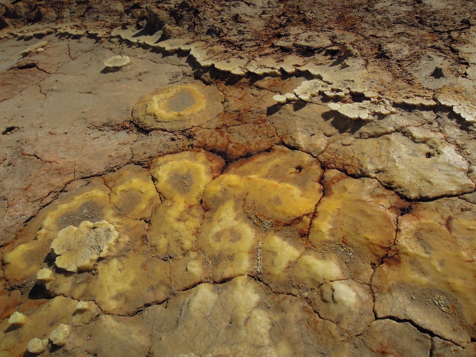 Danakil depression - Dallol