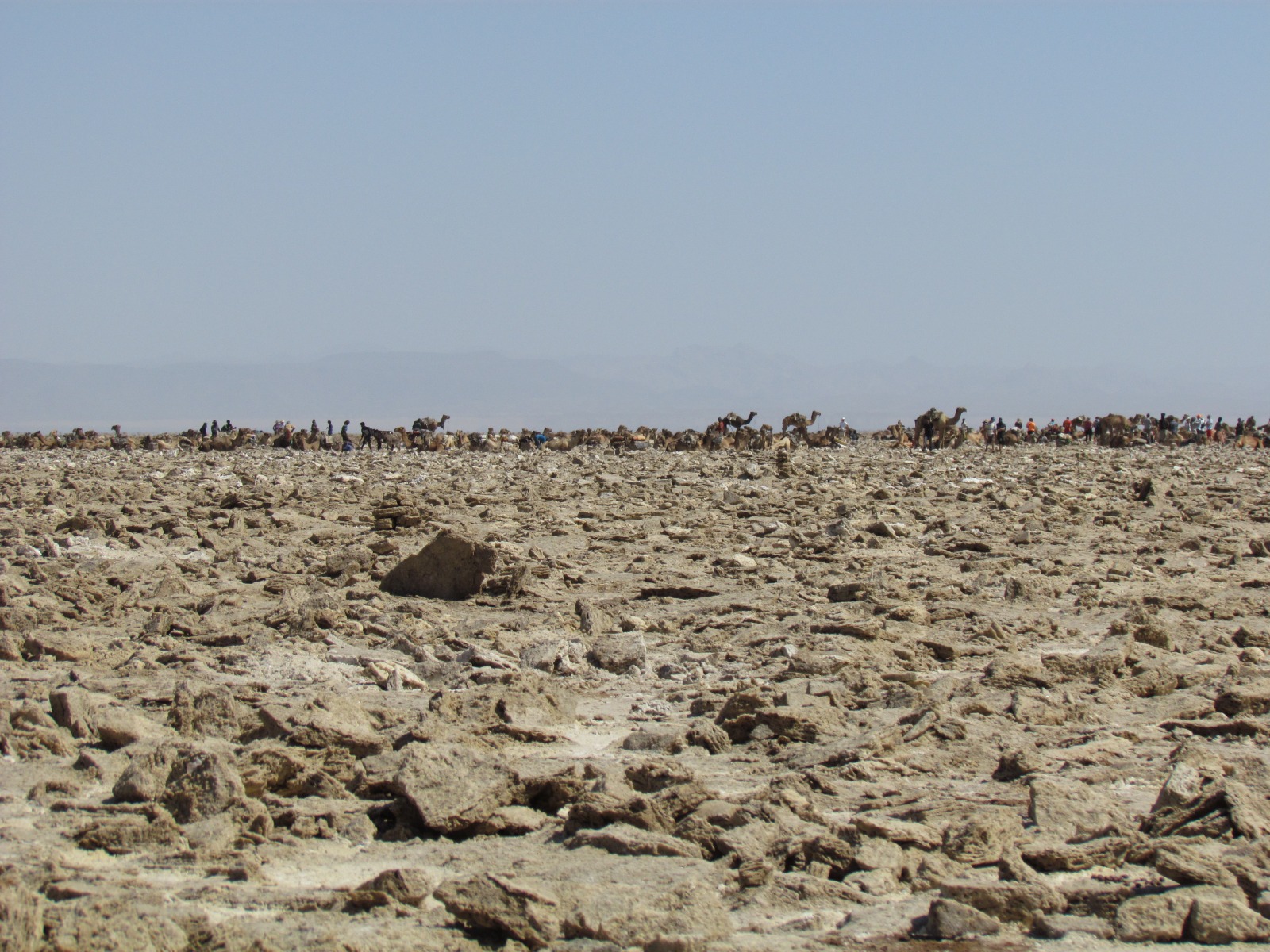 Danakil depression - Assale salt pans - Salt mining