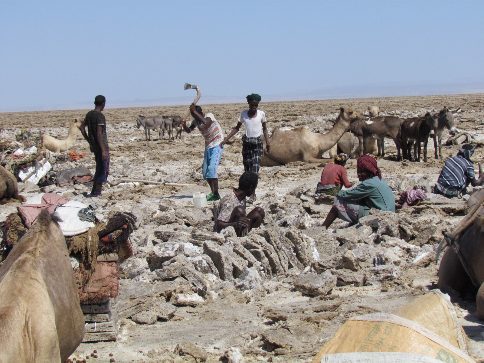 Danakil depression - Assale salt pans - Salt mining