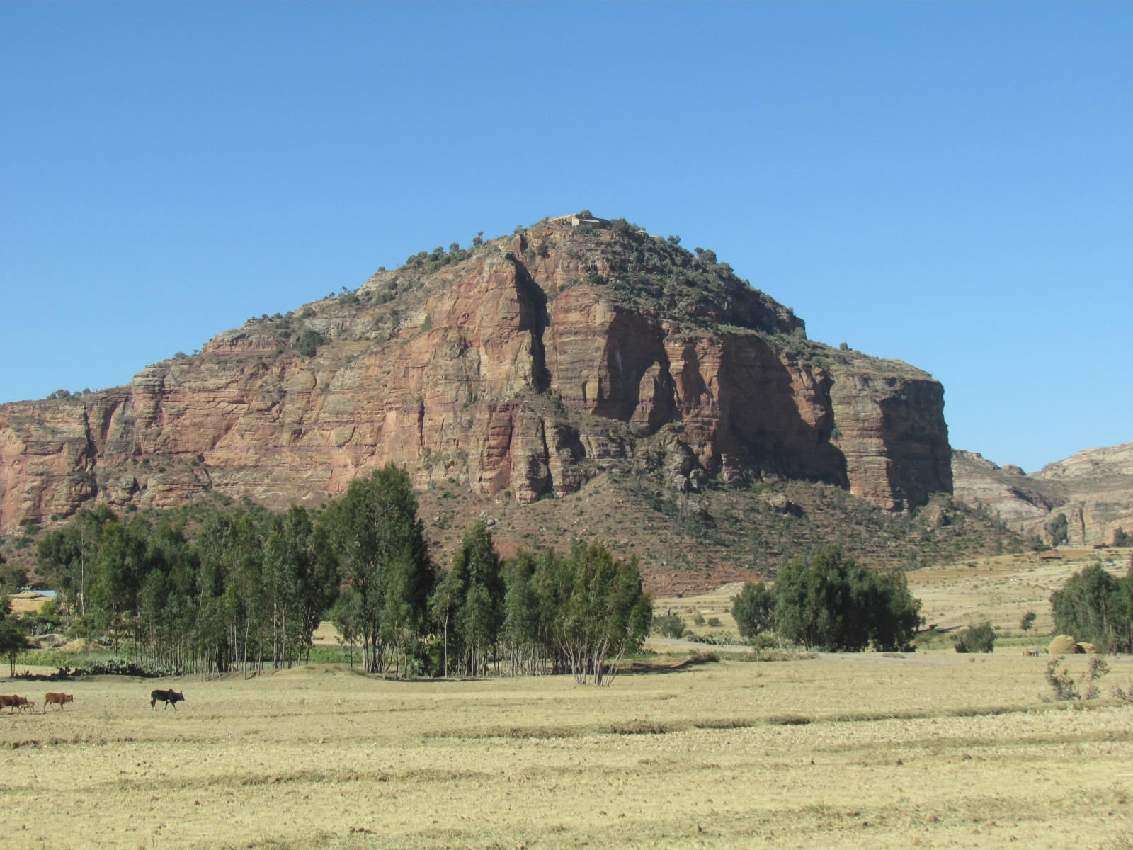 Debre Tsion