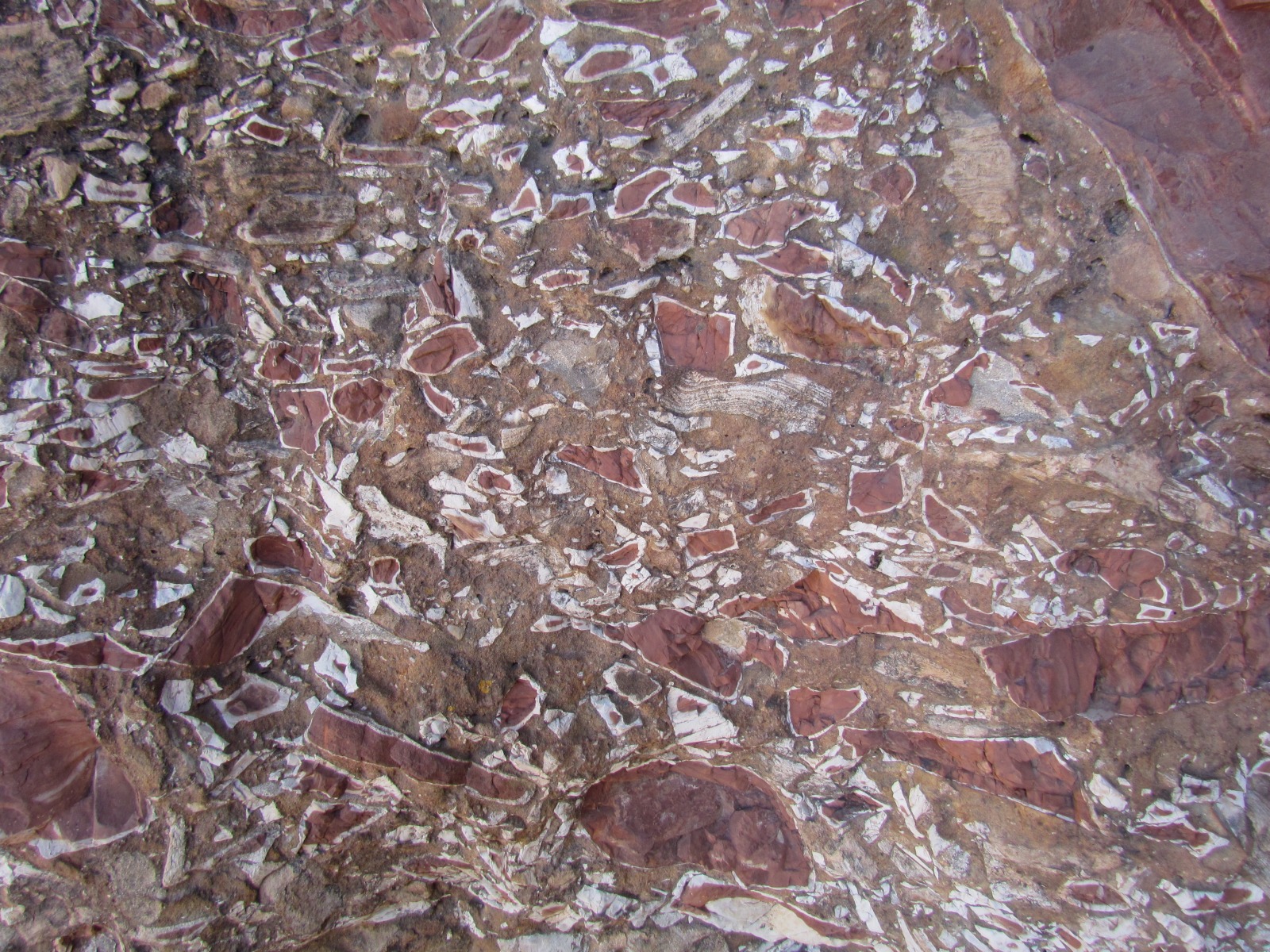 Debre Tsion - Rock