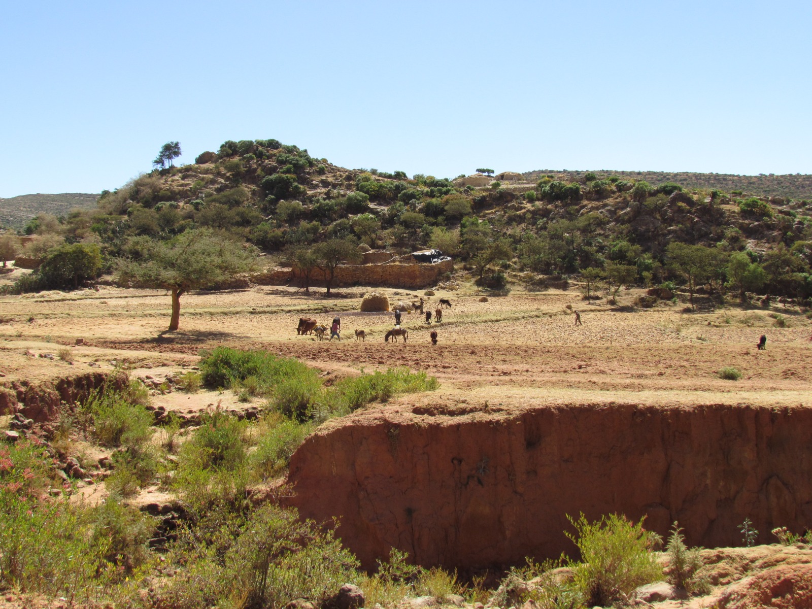 Under Debre Tsion