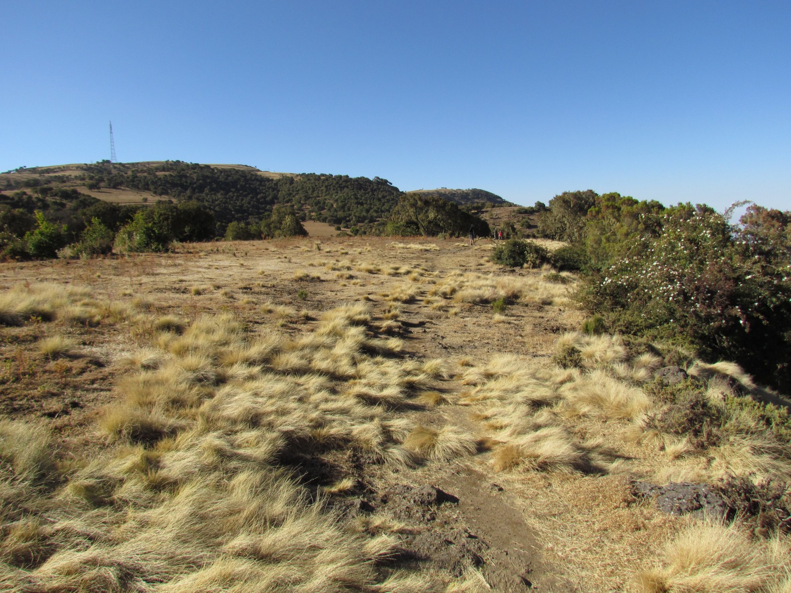 Simien mountains