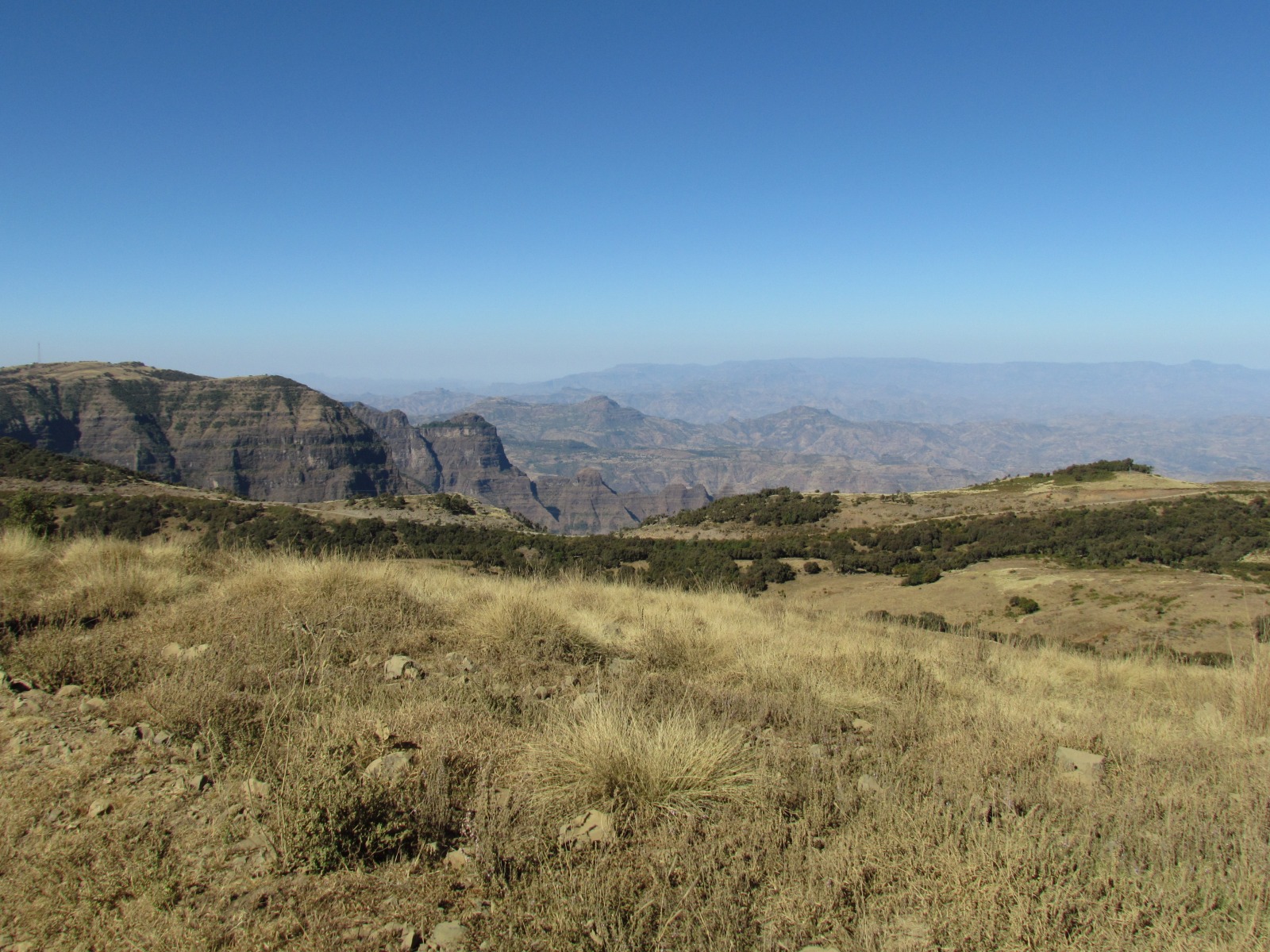 Simien mountains
