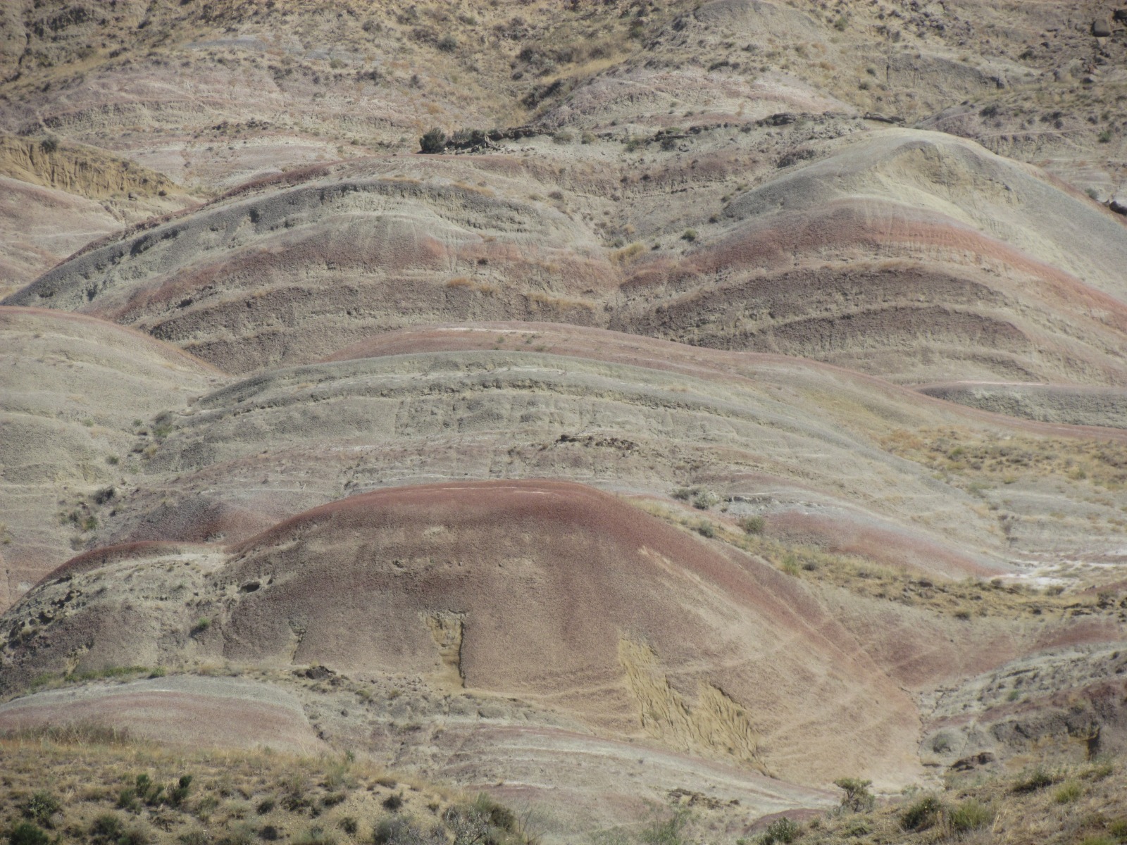 David Gareja monastery complex - Surroundings