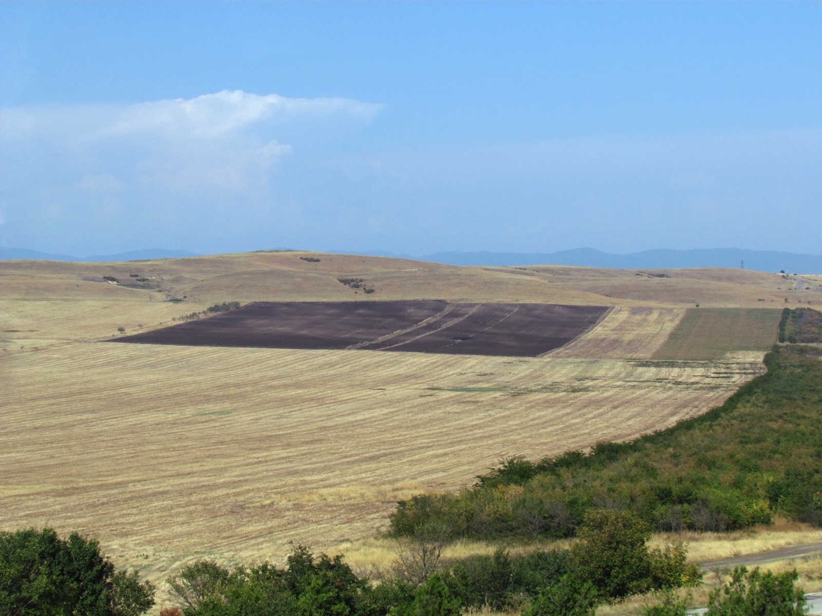 Near Sagarejo - Burnt fields