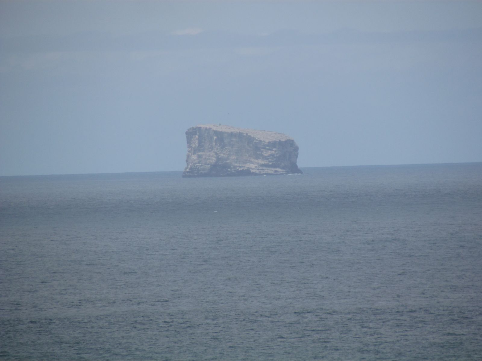 Reykjanes - Valahnjukur - Eldey Island