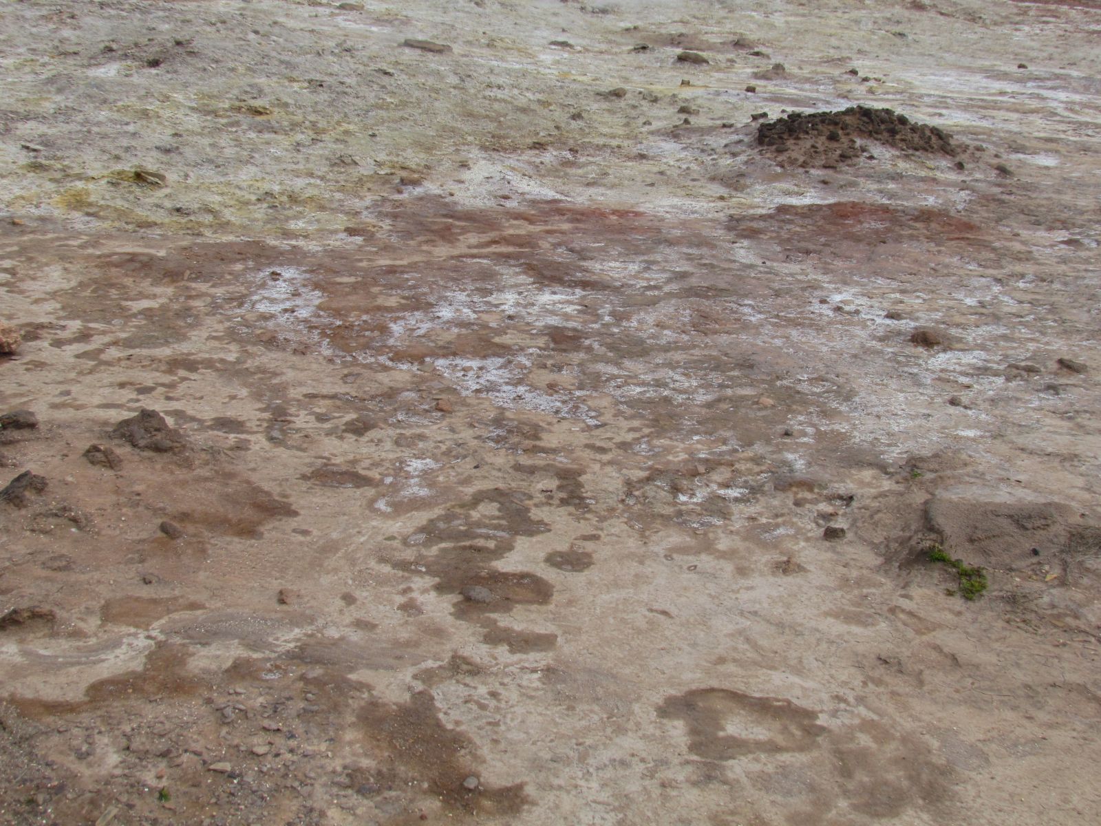 Reykjanes - Gunnuhver geothermal field