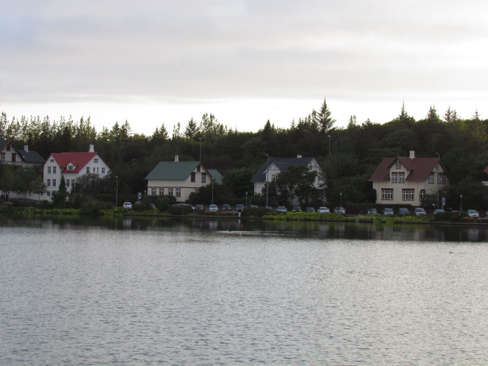 Reykjavik - Lake Tjörnin