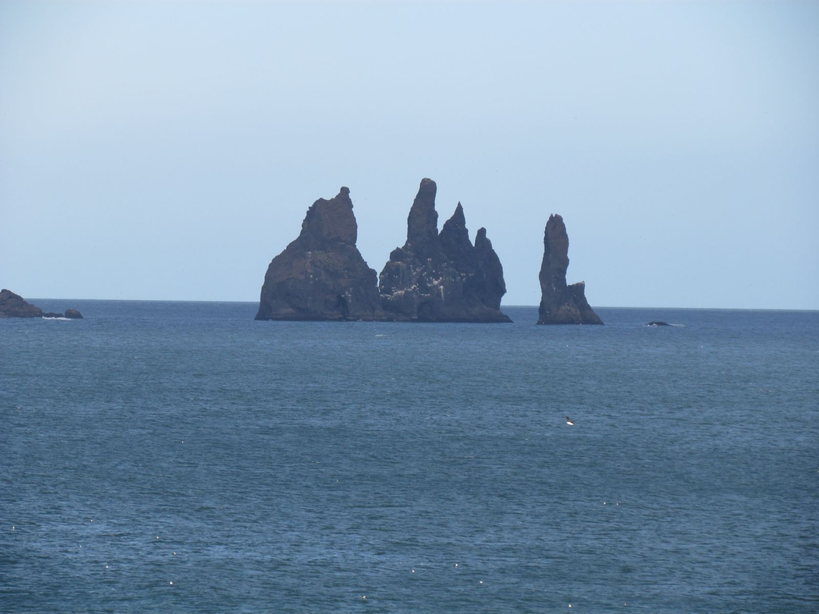 Near Vík - Dyrhólæy