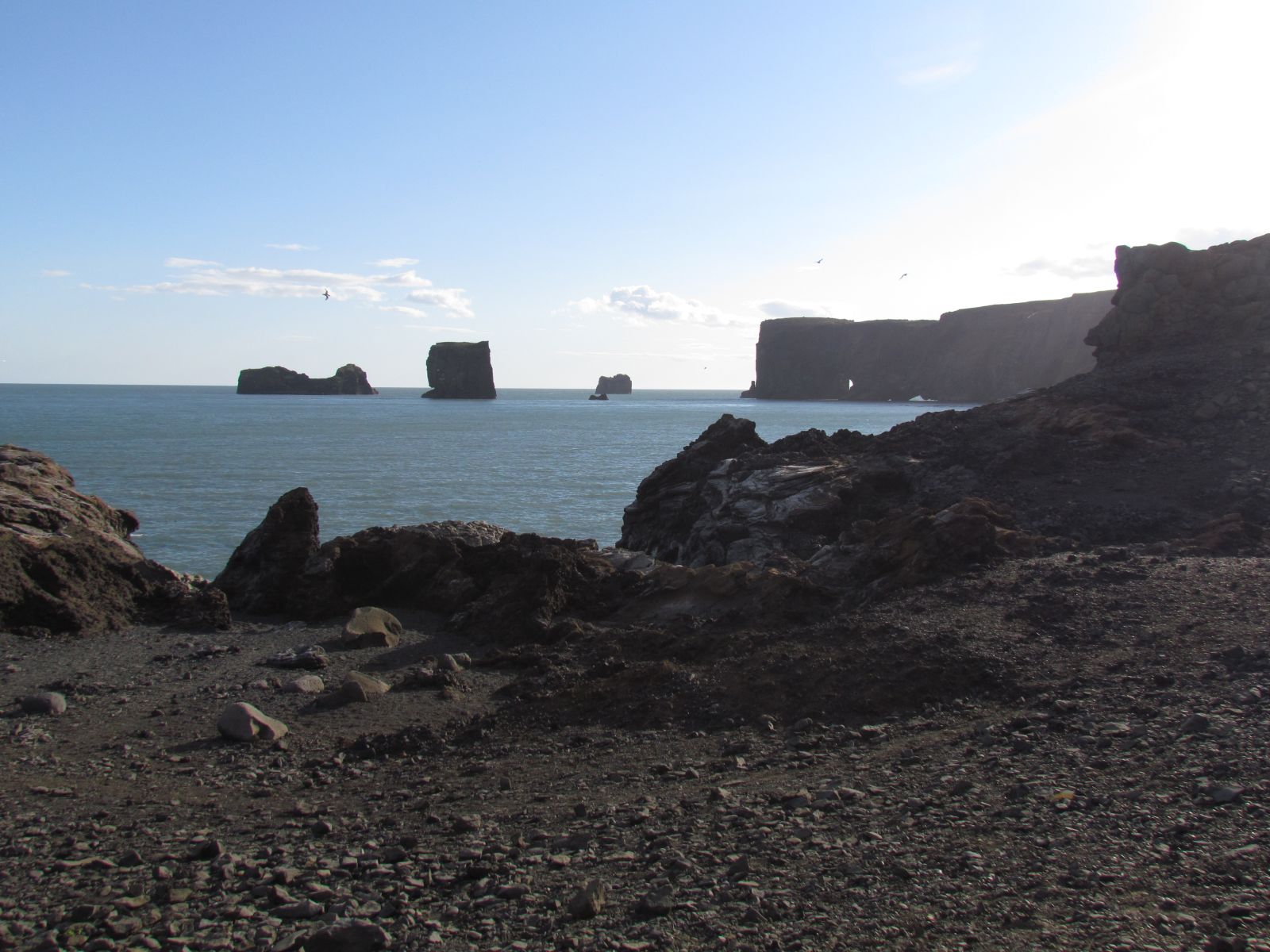 Near Vík - Dyrhólæy