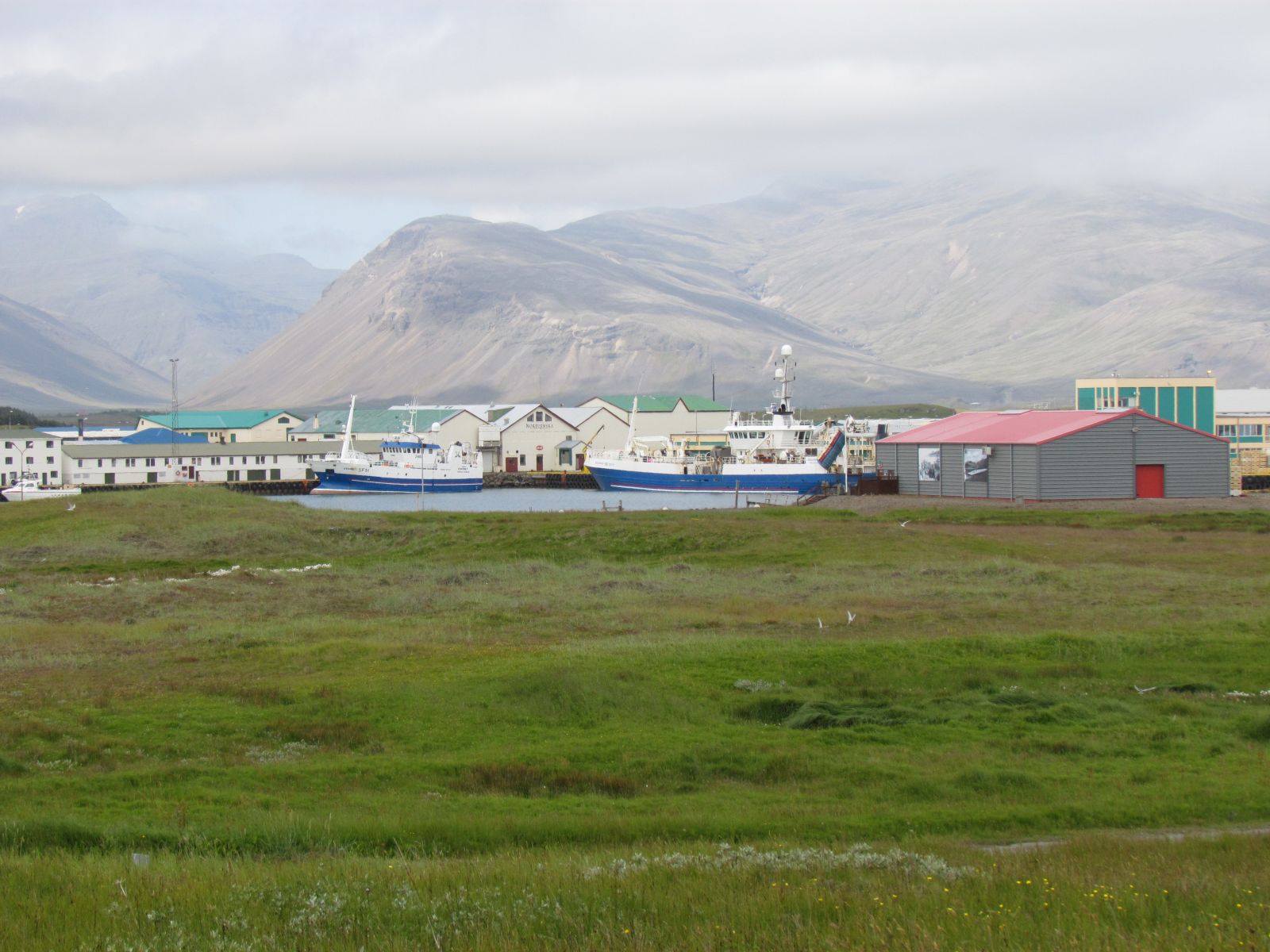 Höfn