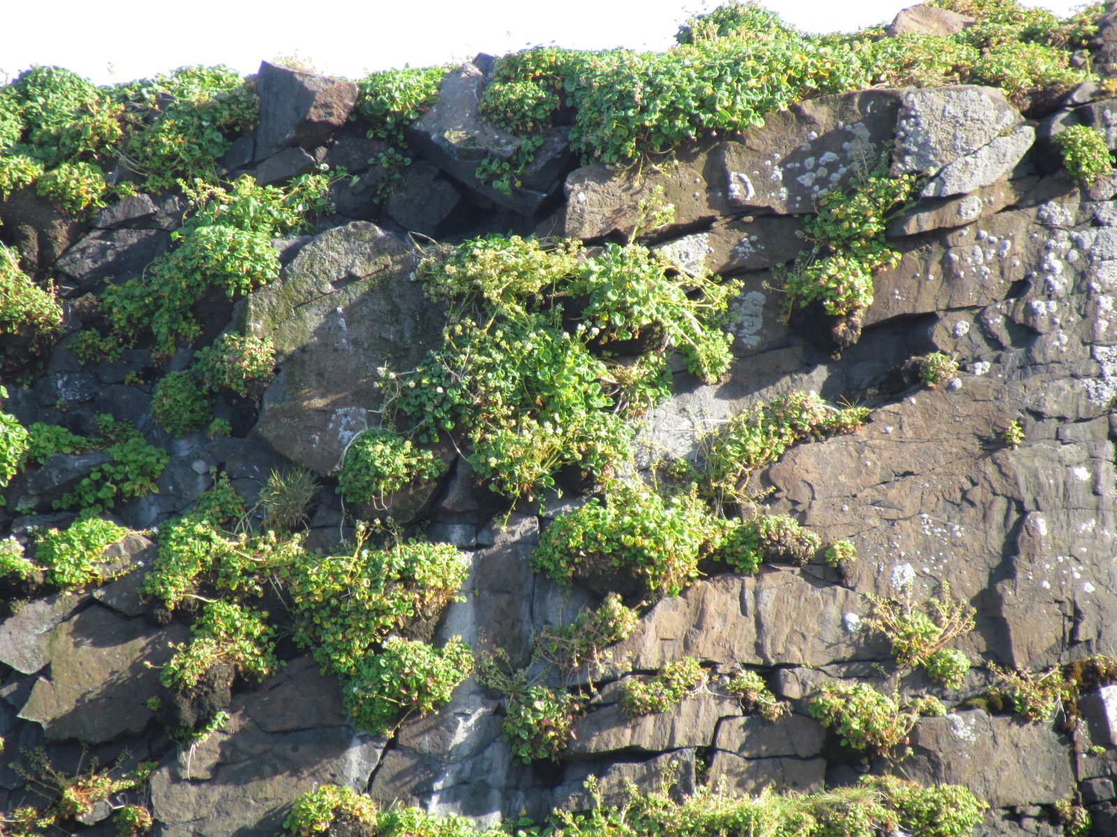 Eastern fjords - Troll stone