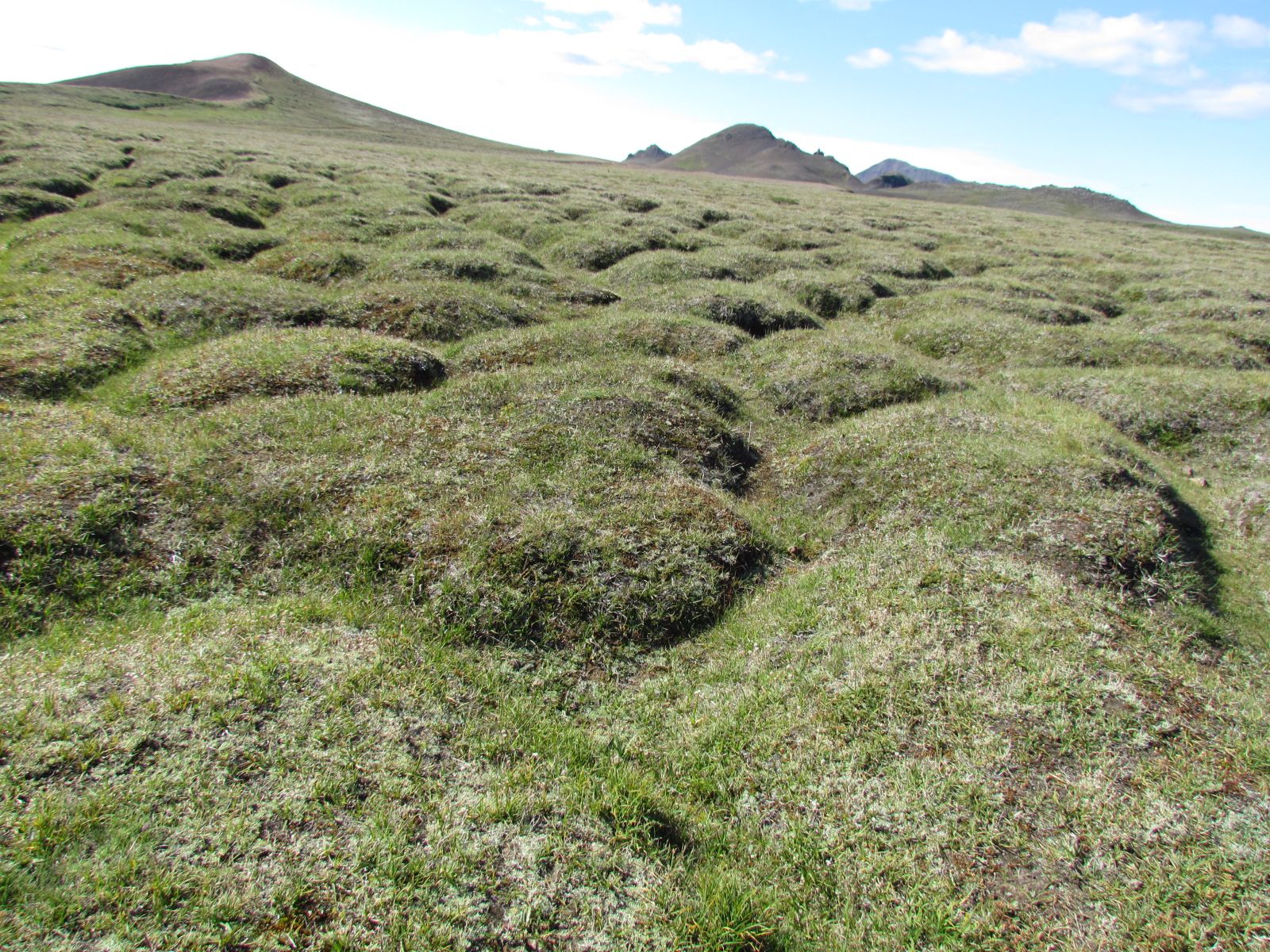 Mývatn Region - Leirhnjúkur volcano