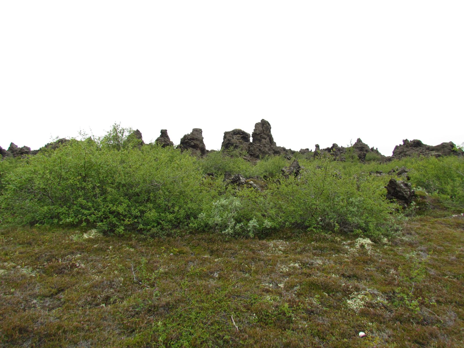 Mývatn Region - Dimmuborgir