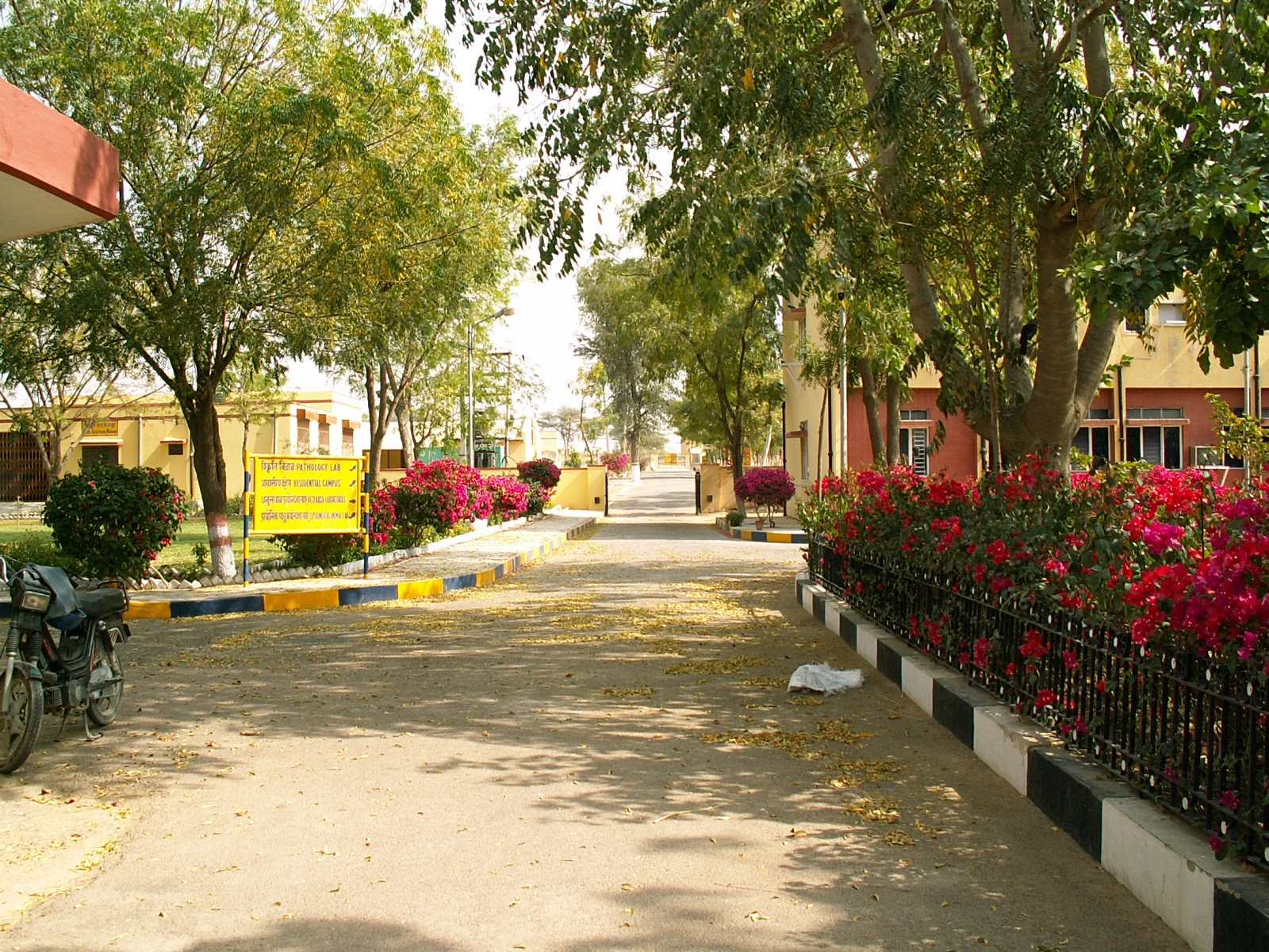 Jorbeer - Camel Research Institute