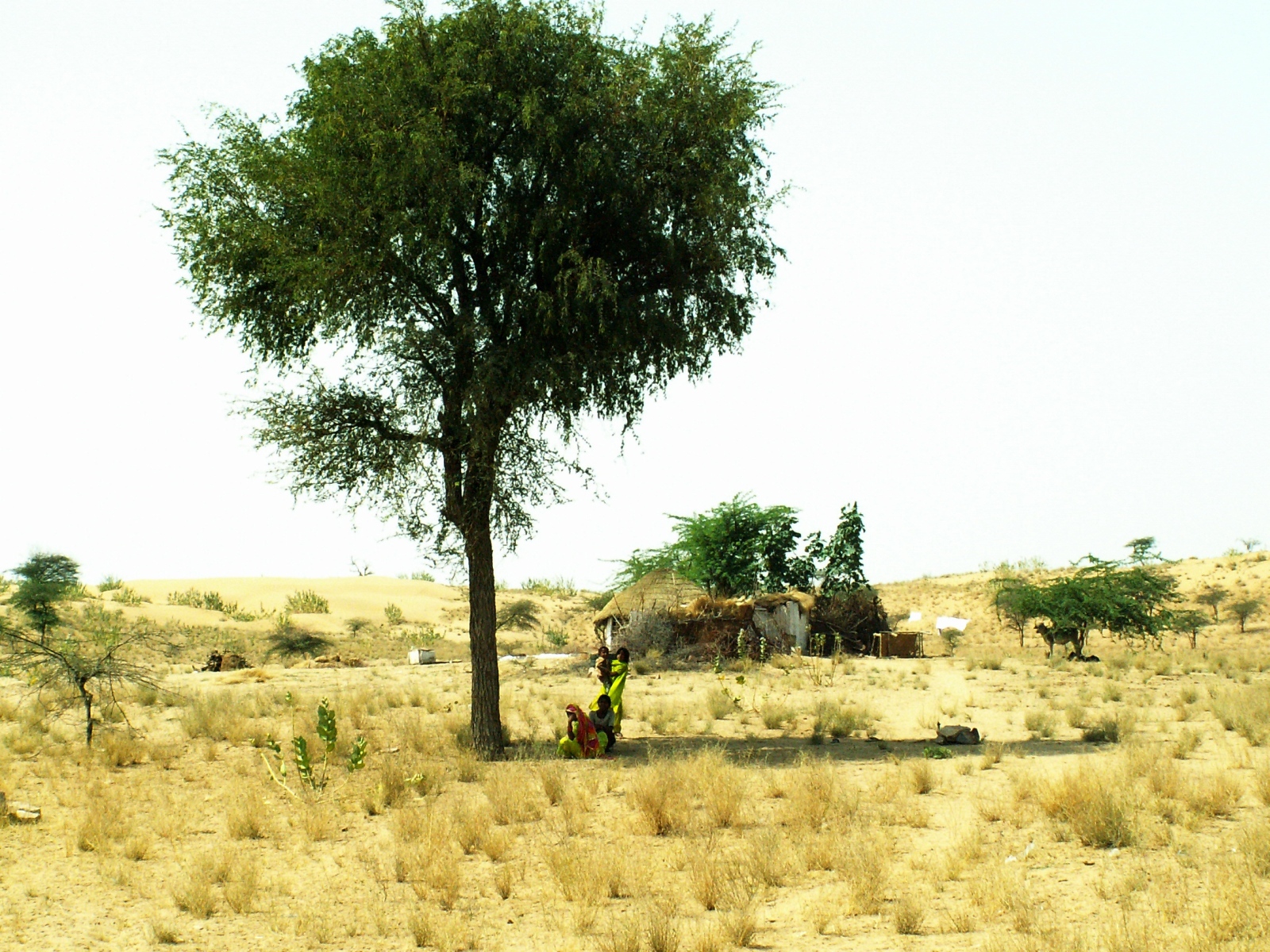 Near Jaisalmer - Local village