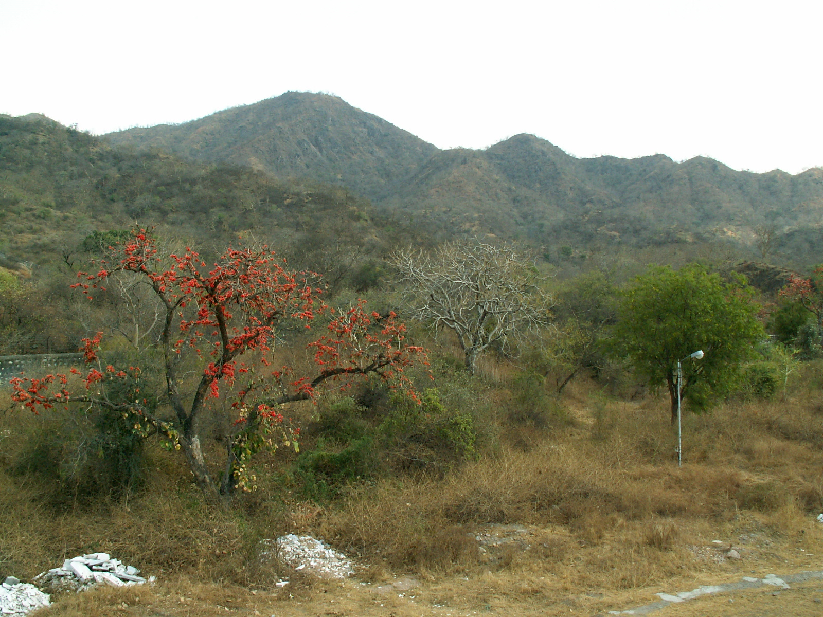 Ranakpur