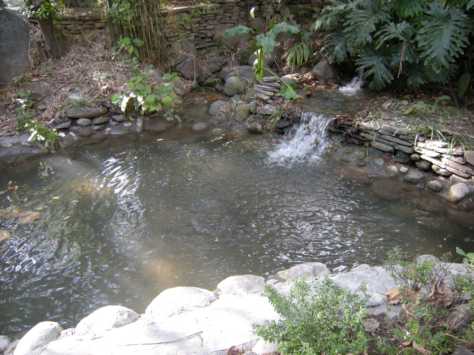Near Dharamsala - Tibetan Norbulingka Institute