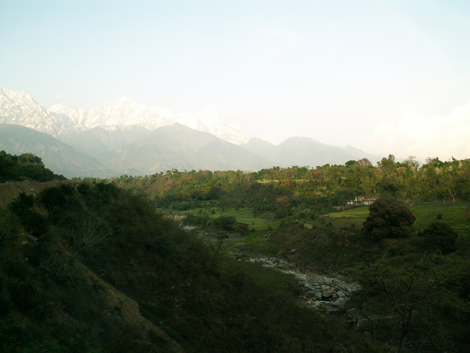 Near Dharamsala